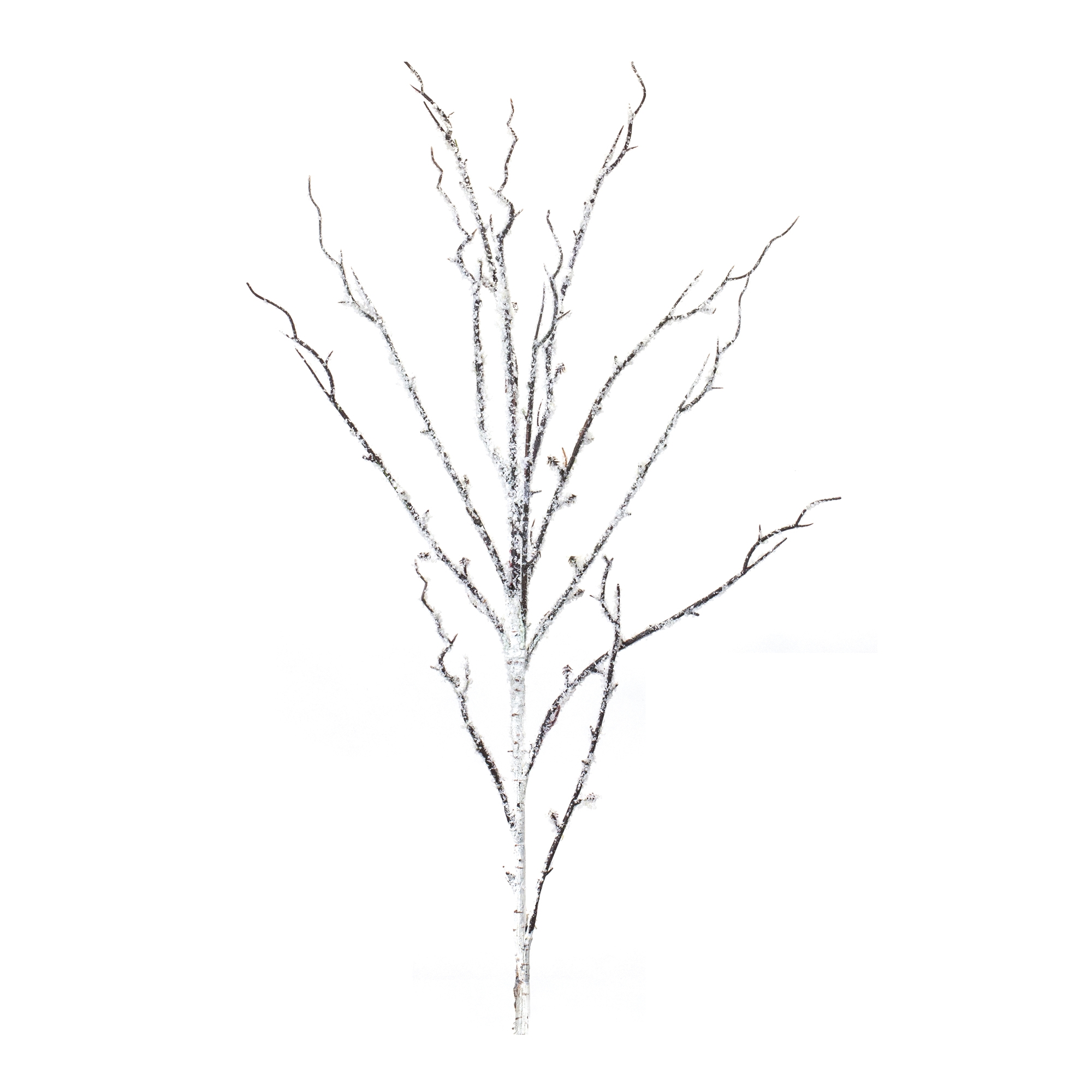Snowy Birch Branch (Set of 12) 34