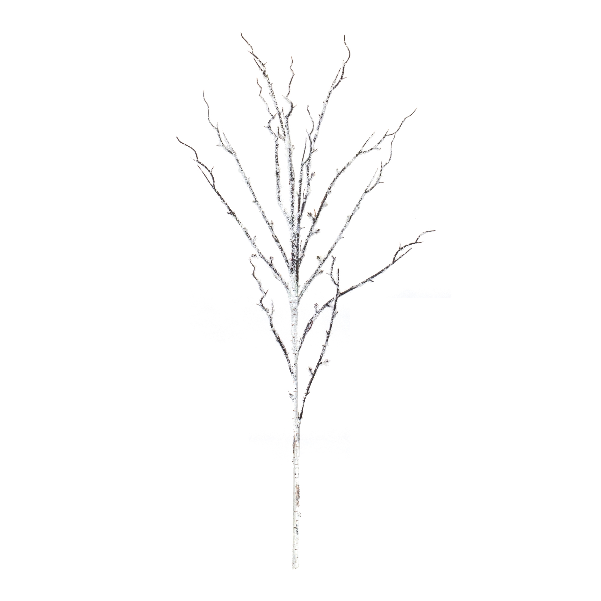 Snowy Birch Branch (Set of 12) 34