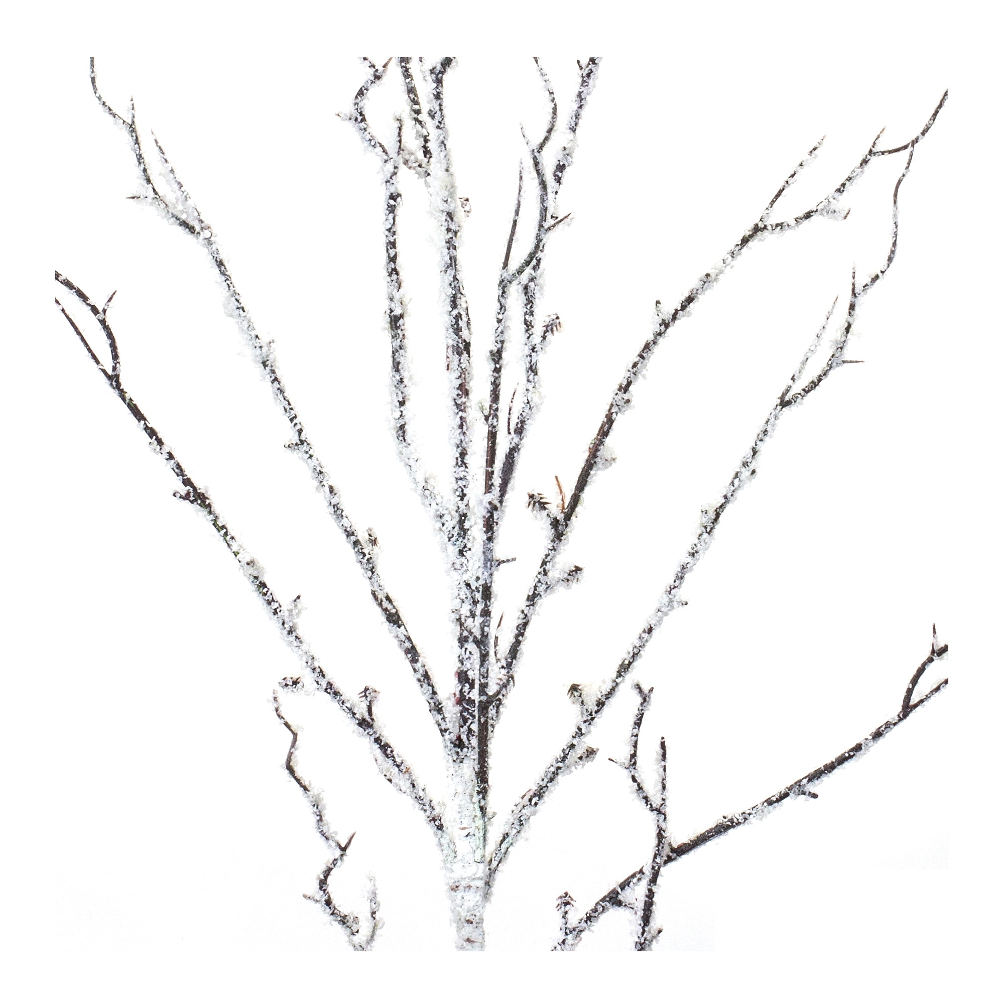 Snowy Birch Branch (Set of 12) 34
