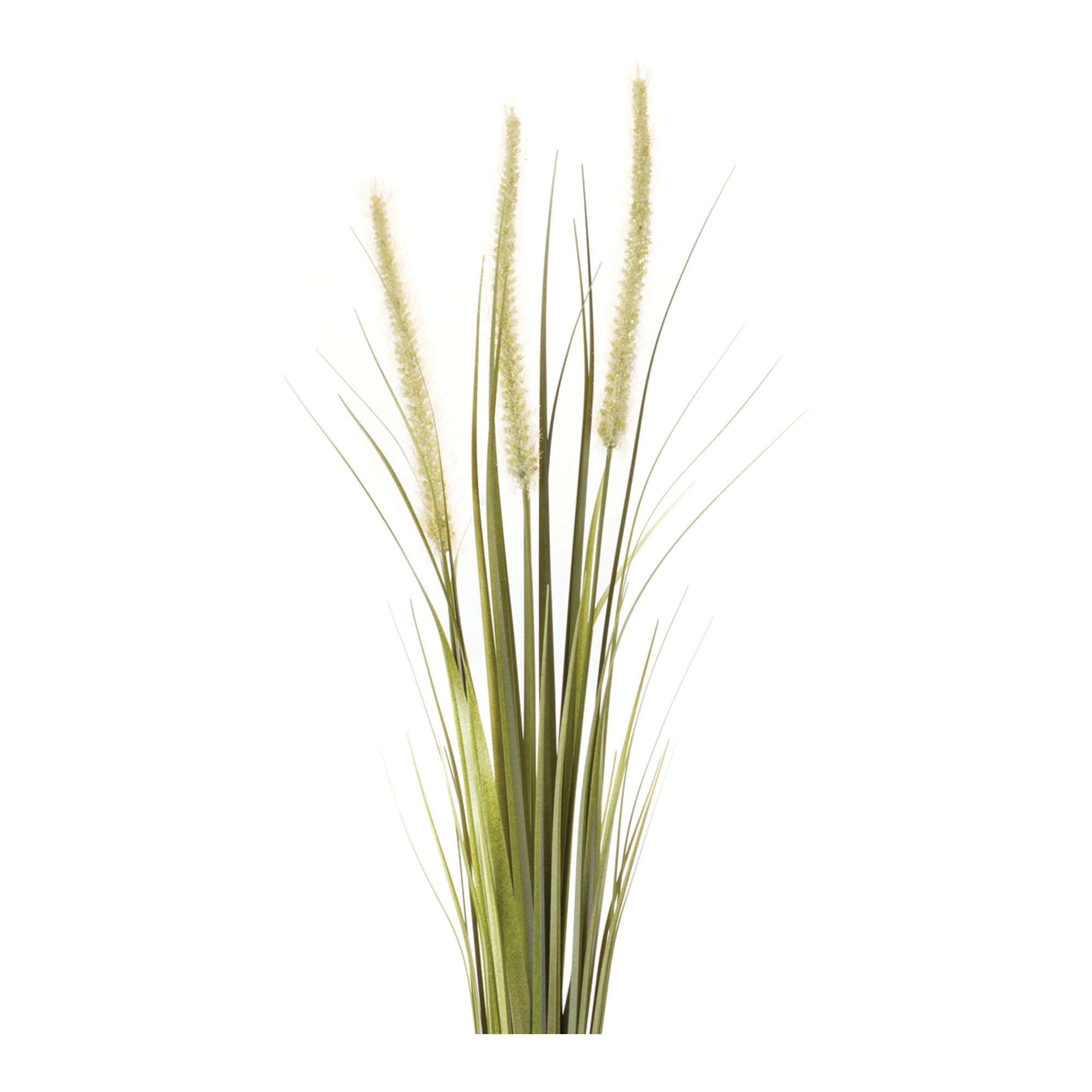 Foxtail Bush (Set of 6) 28