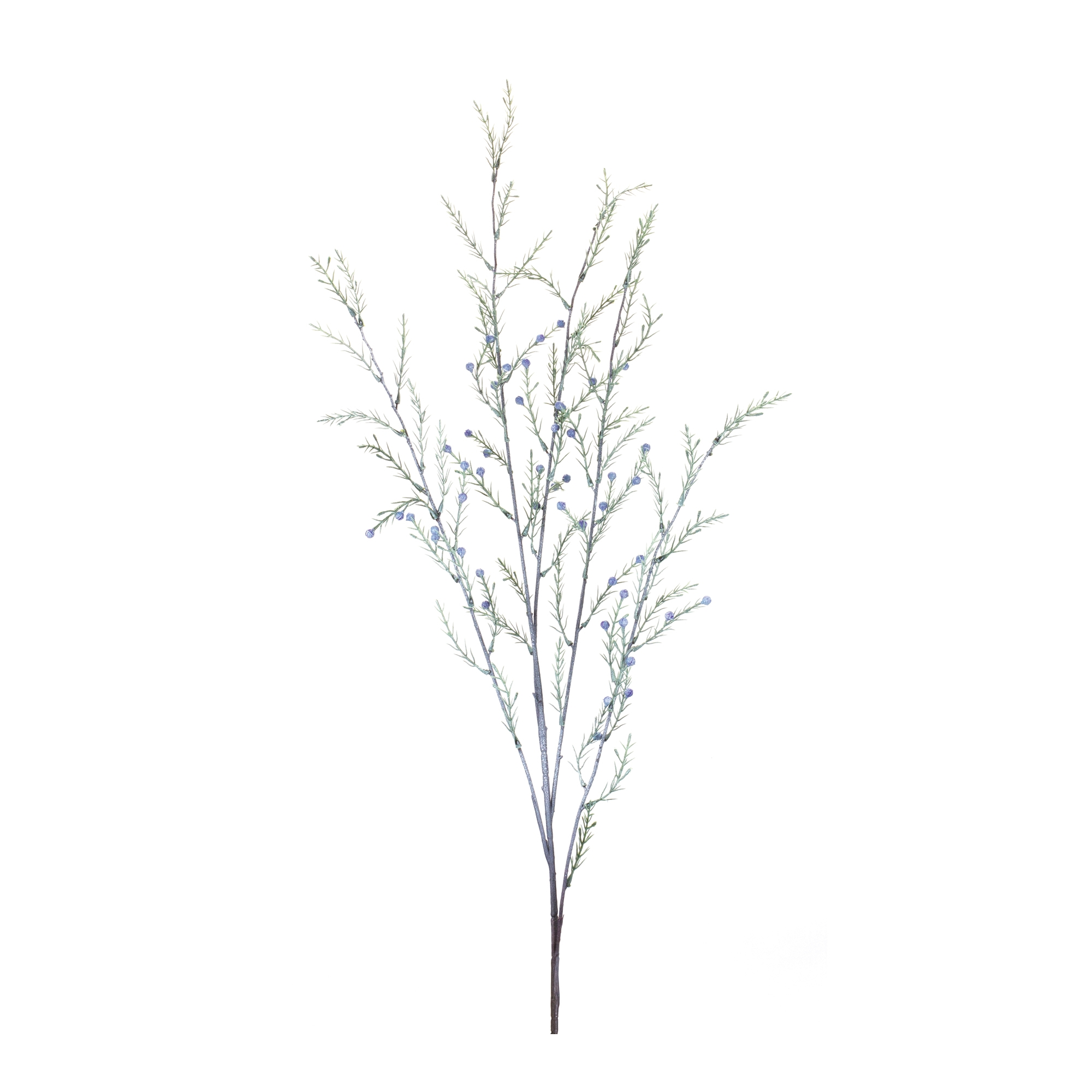 Pine Branch (Set of 12) 47