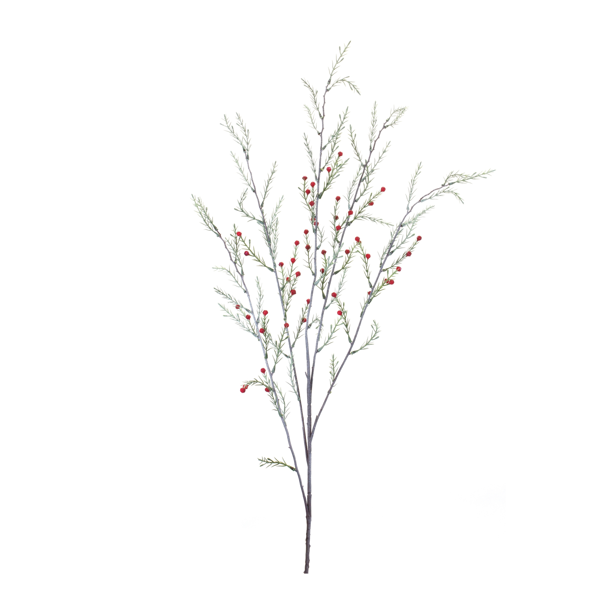 Pine Branch (Set of 12) 47