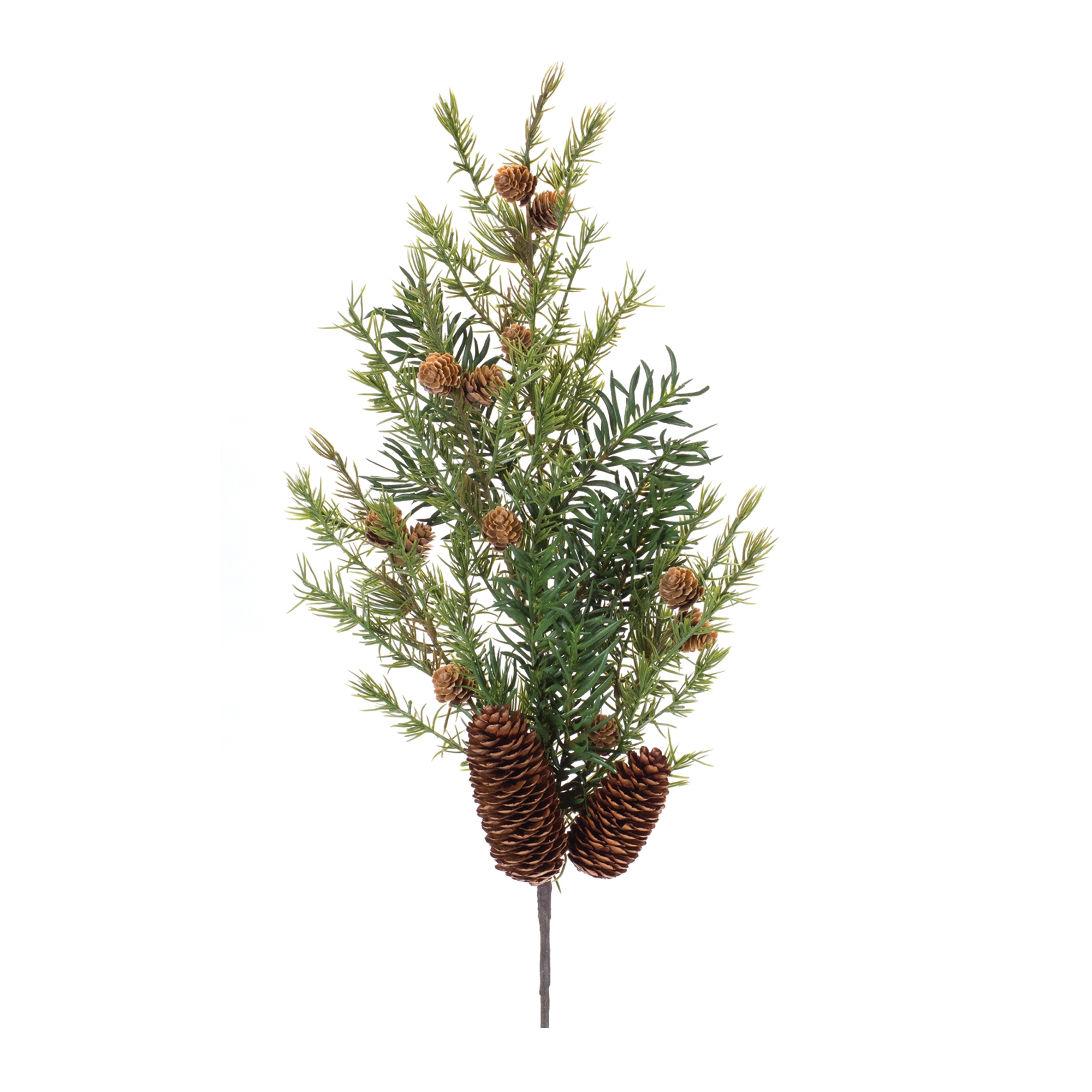 Pine Spray (Set of 6) 27