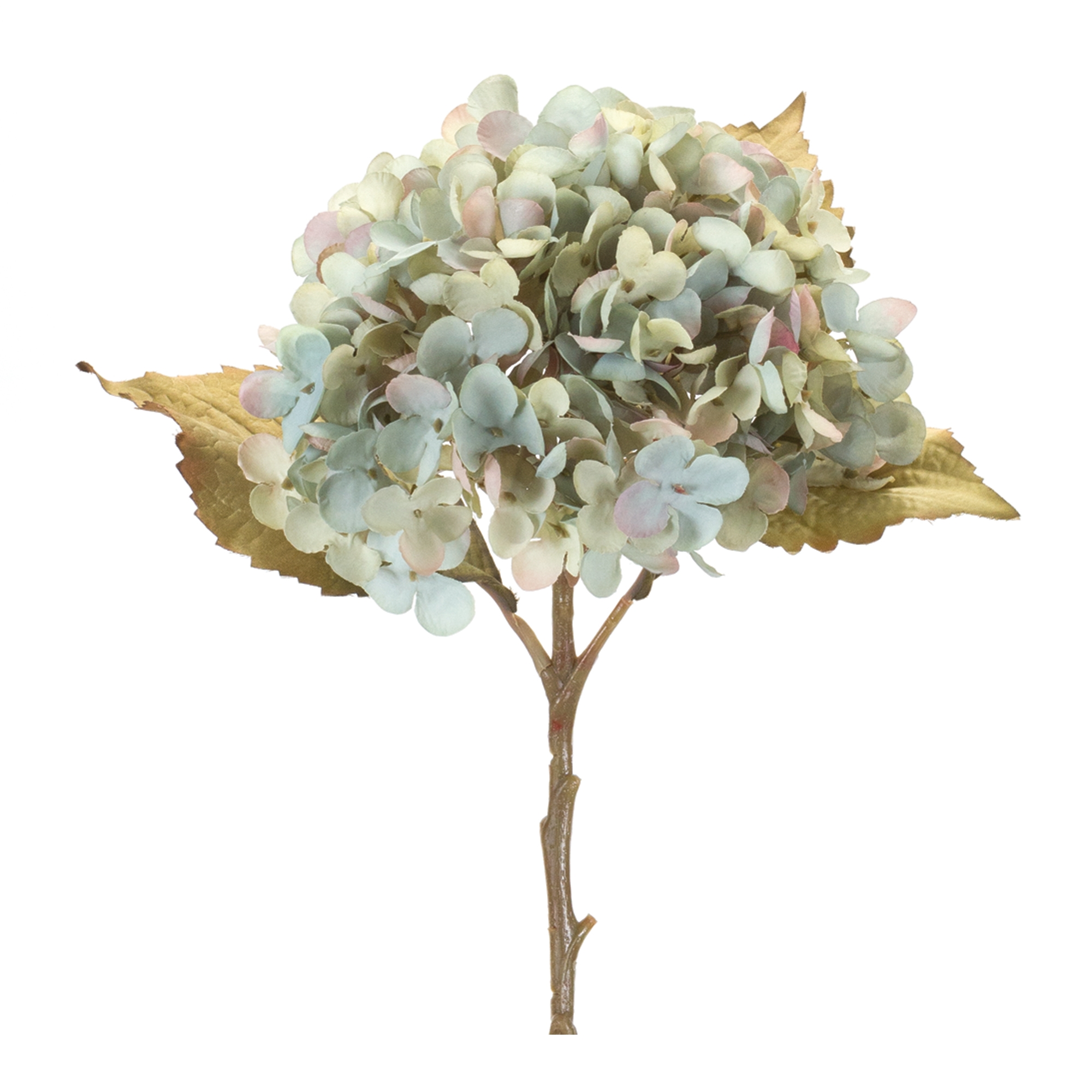 Hydrangea Stem (Set of 6) 20