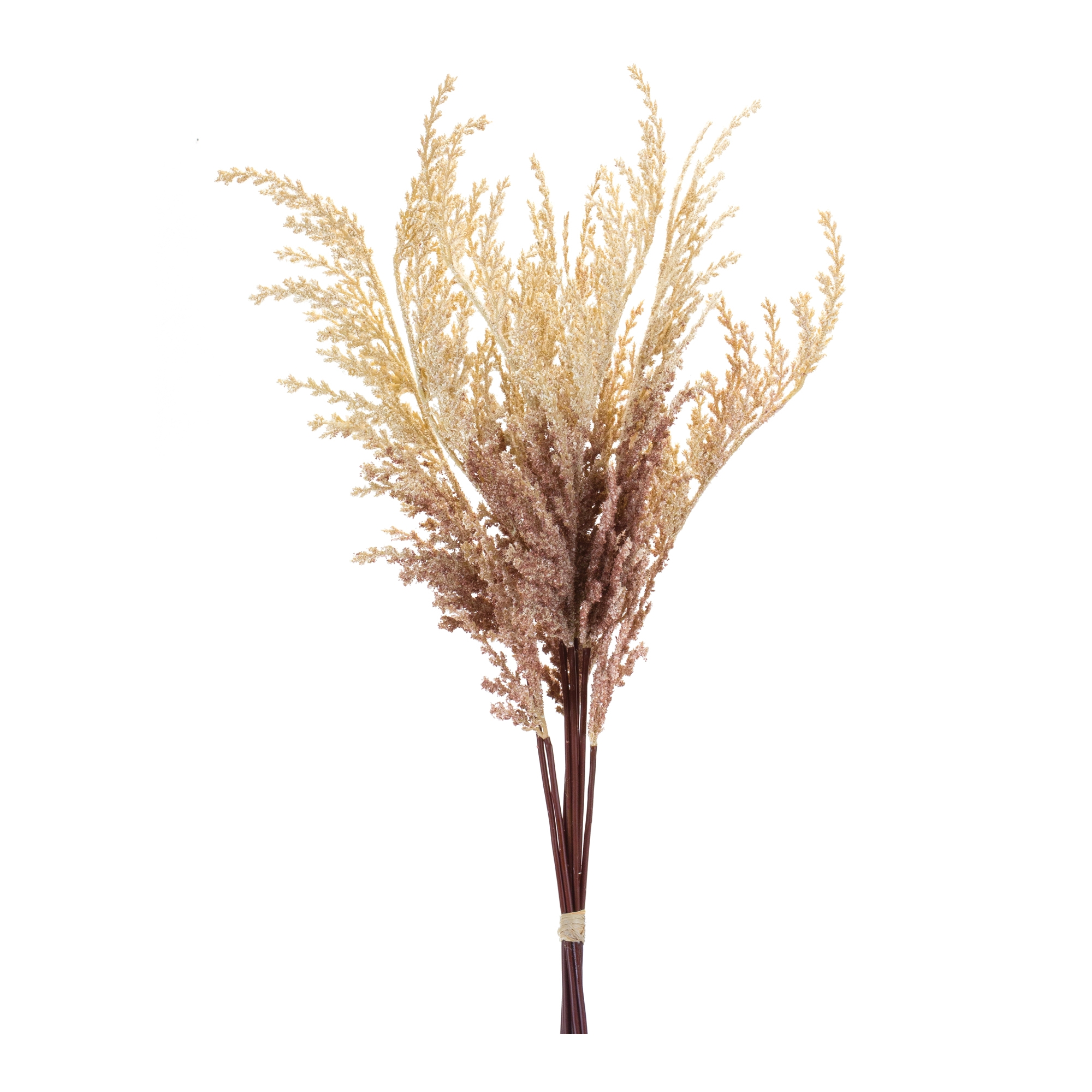 Plume Bundle (Set of 12) 27