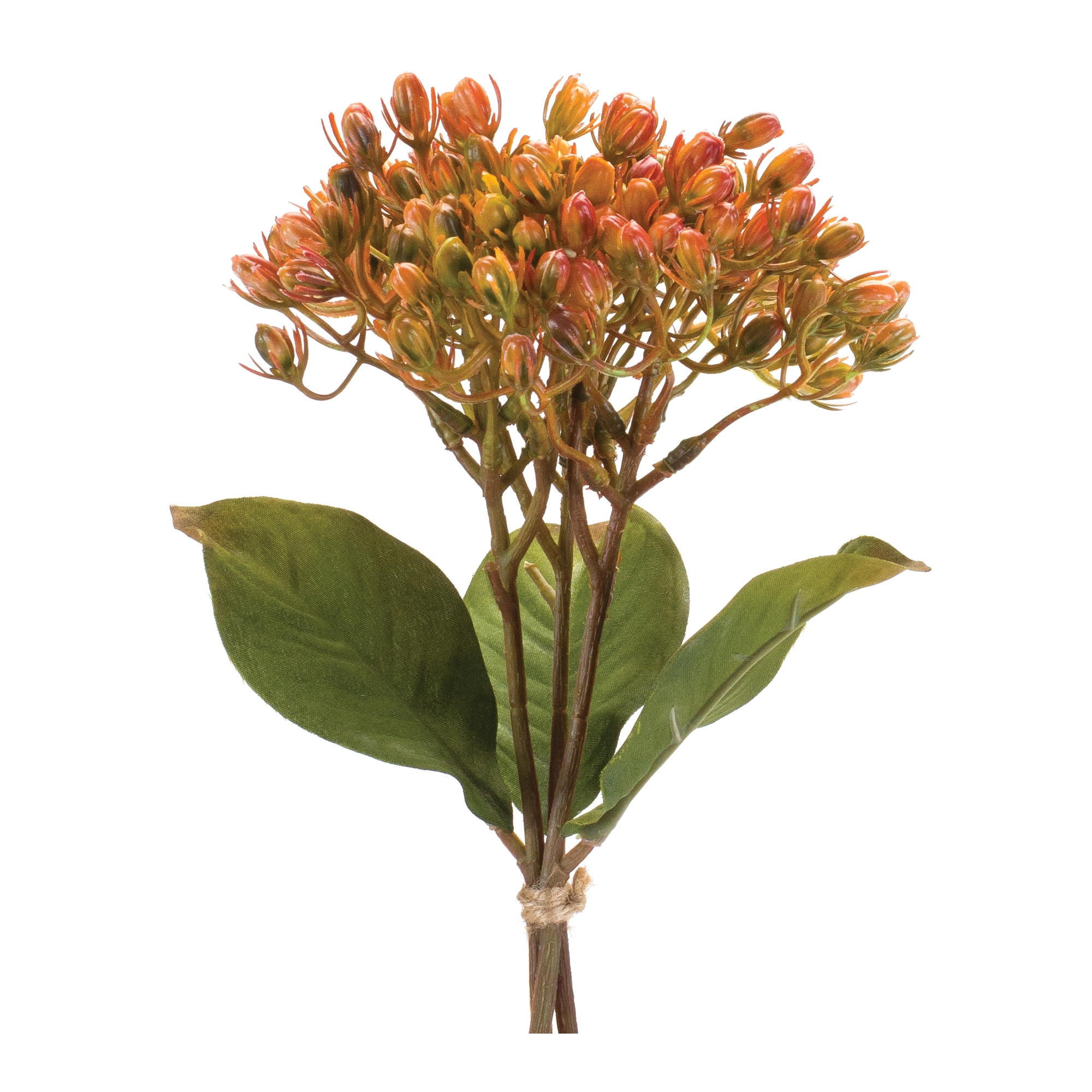 Berry Bundle (Set of 12) 13