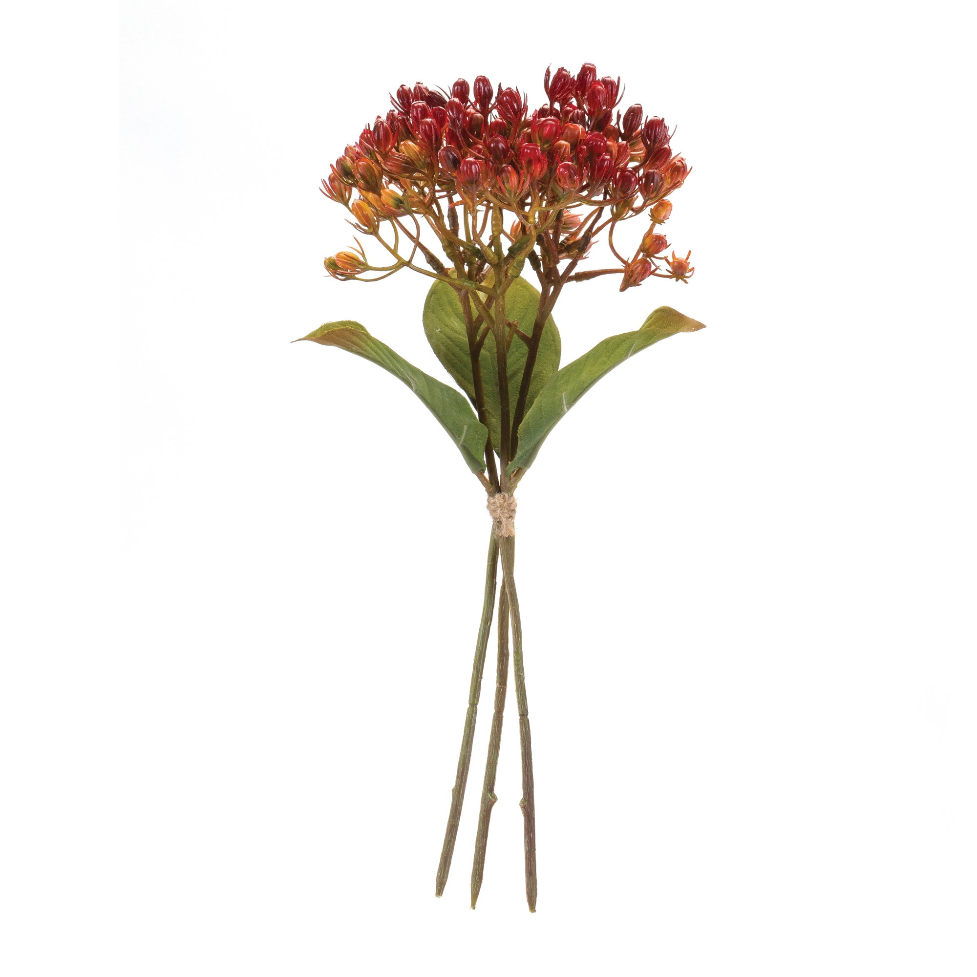 Berry Bundle (Set of 12) 13