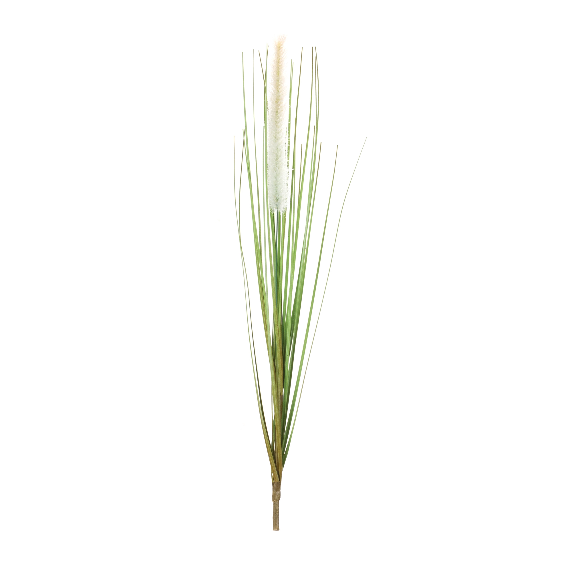 Foxtail Bush (Set of 12) 20