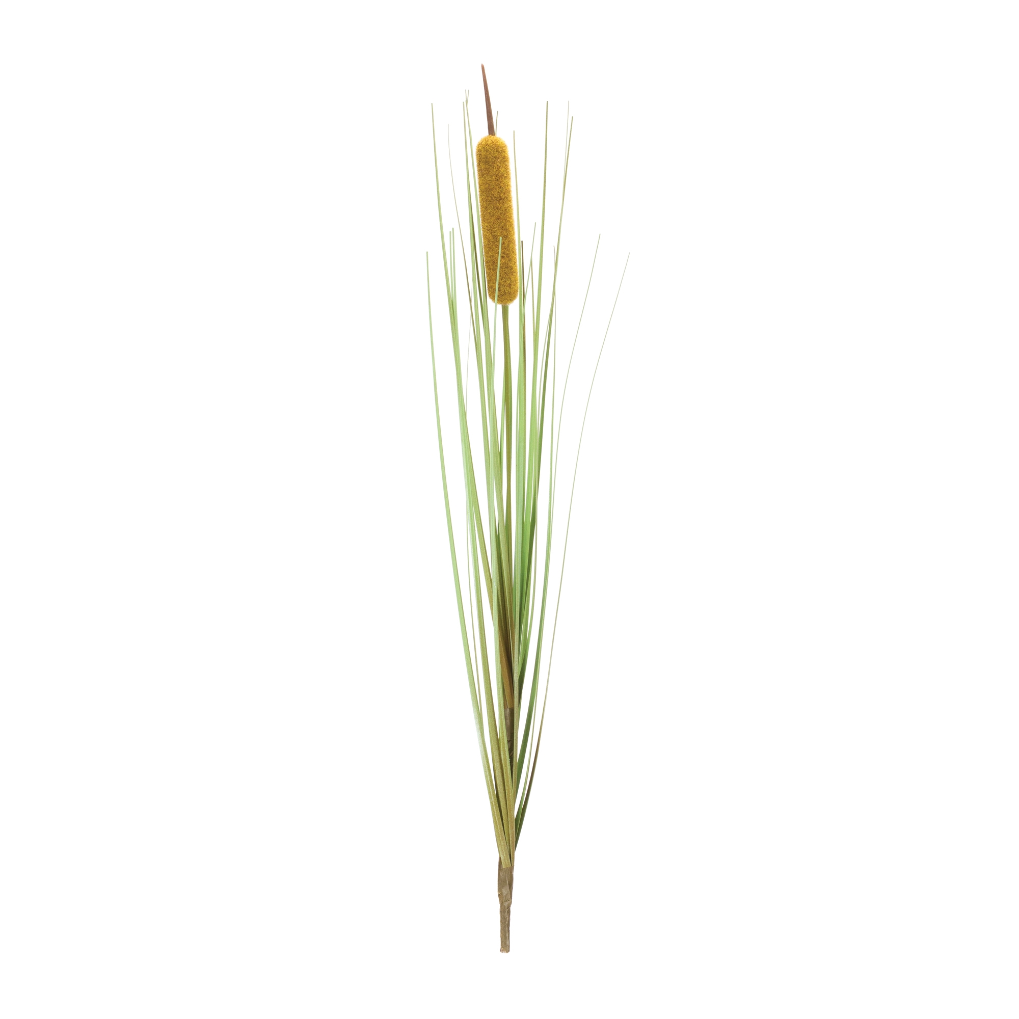 Cattail Bush (Set of 12) 20