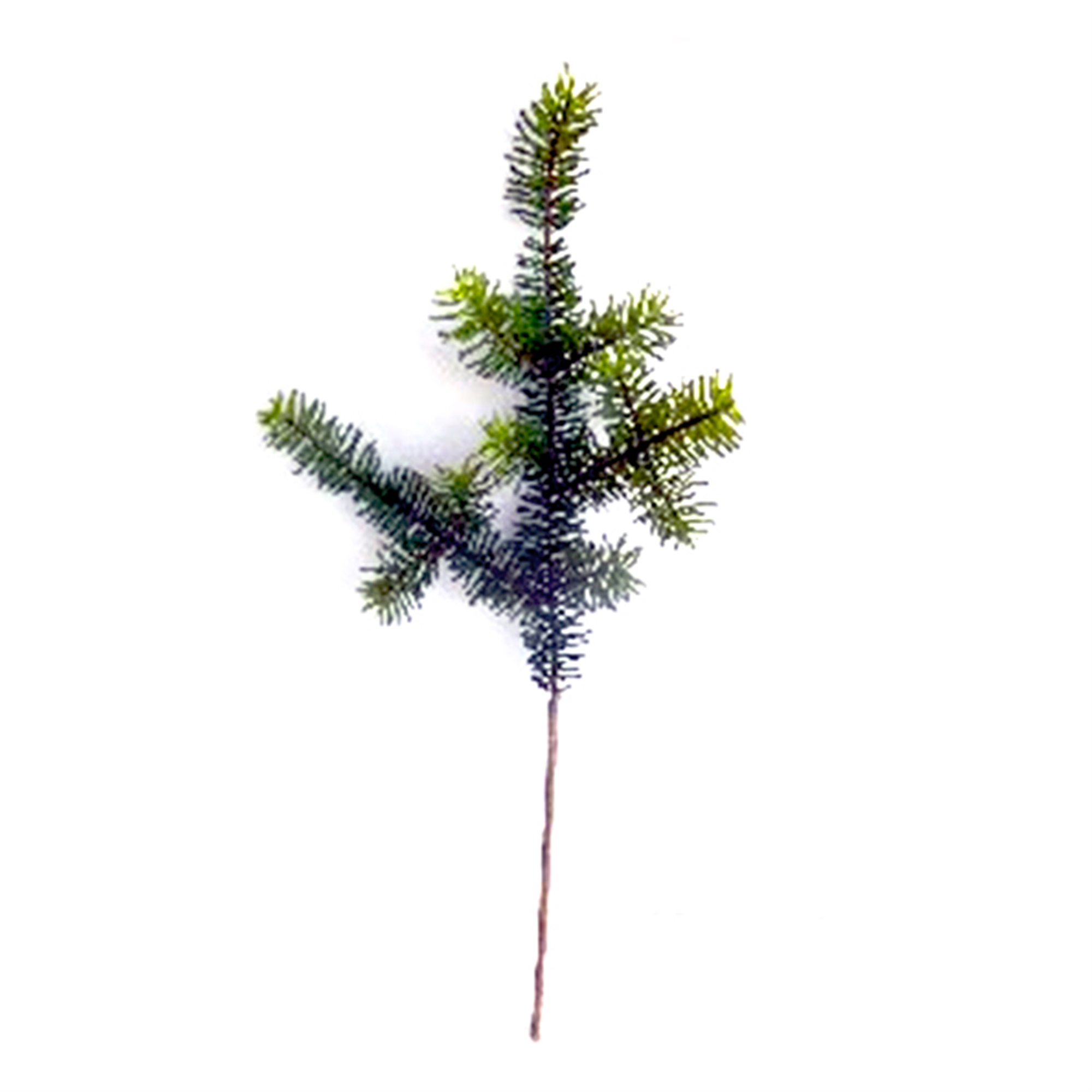 Pine Spray (Set of 6) 28.5