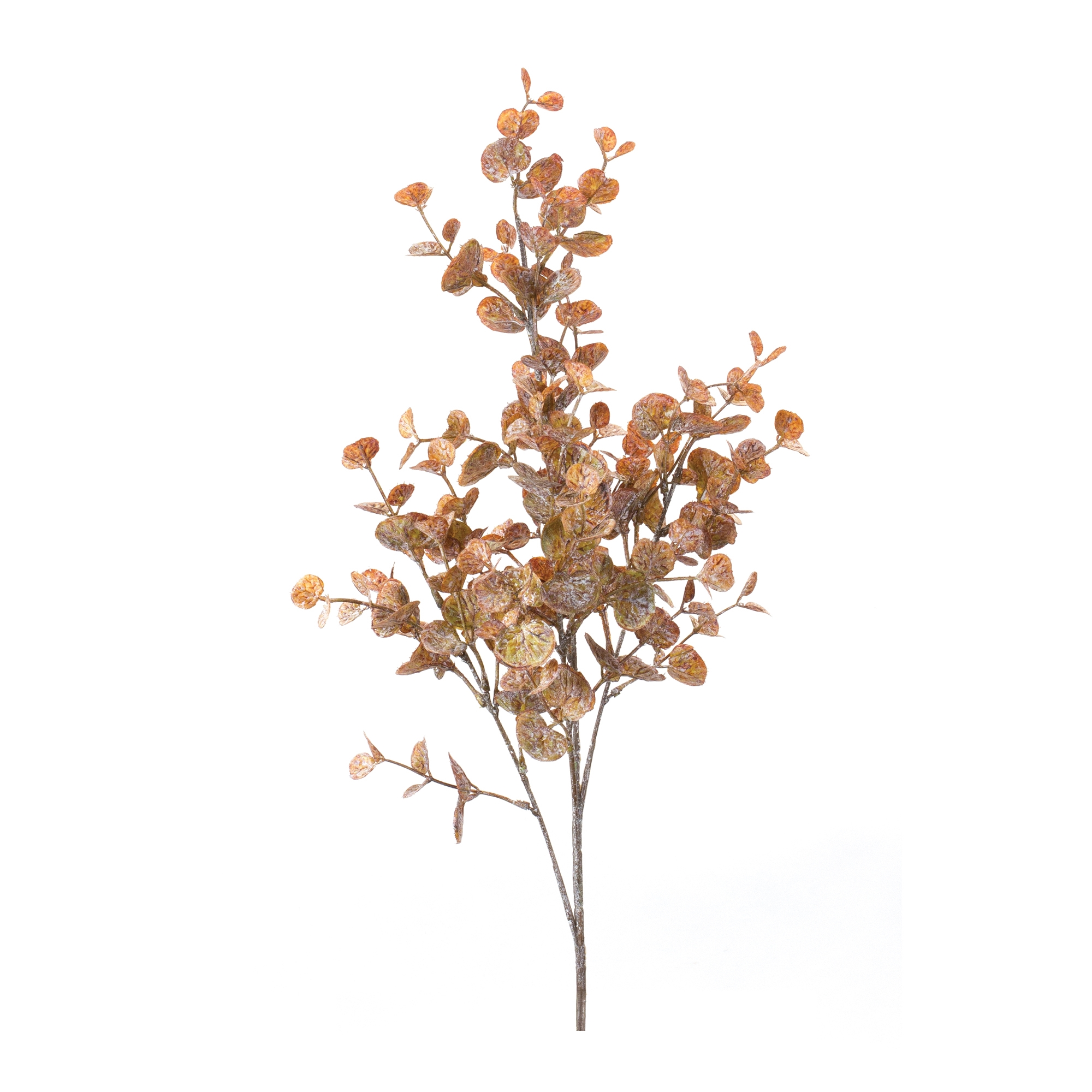 Mini Eucalyptus Spray (Set of 6) 32