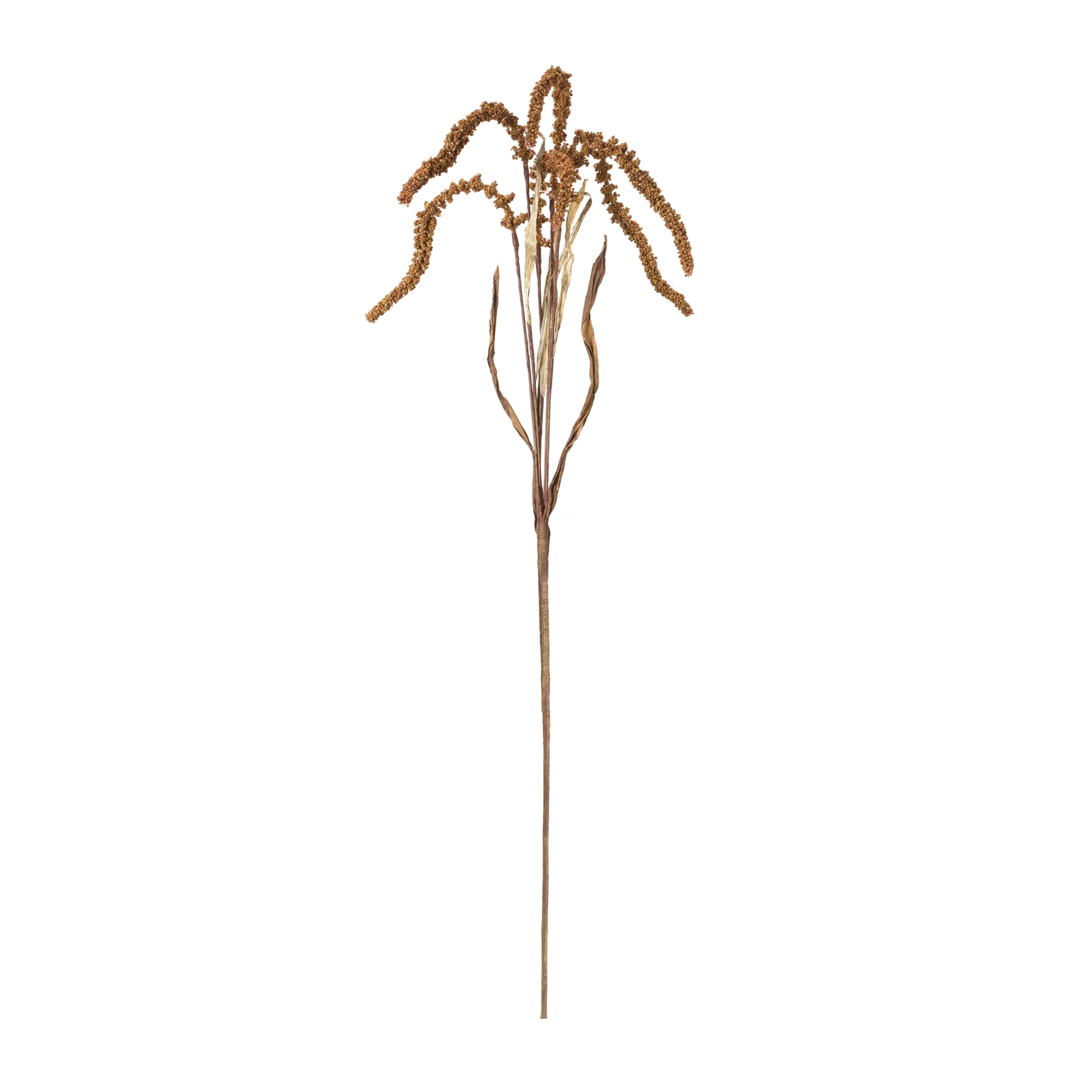 Amaranthus Stem (Set of 12) 32