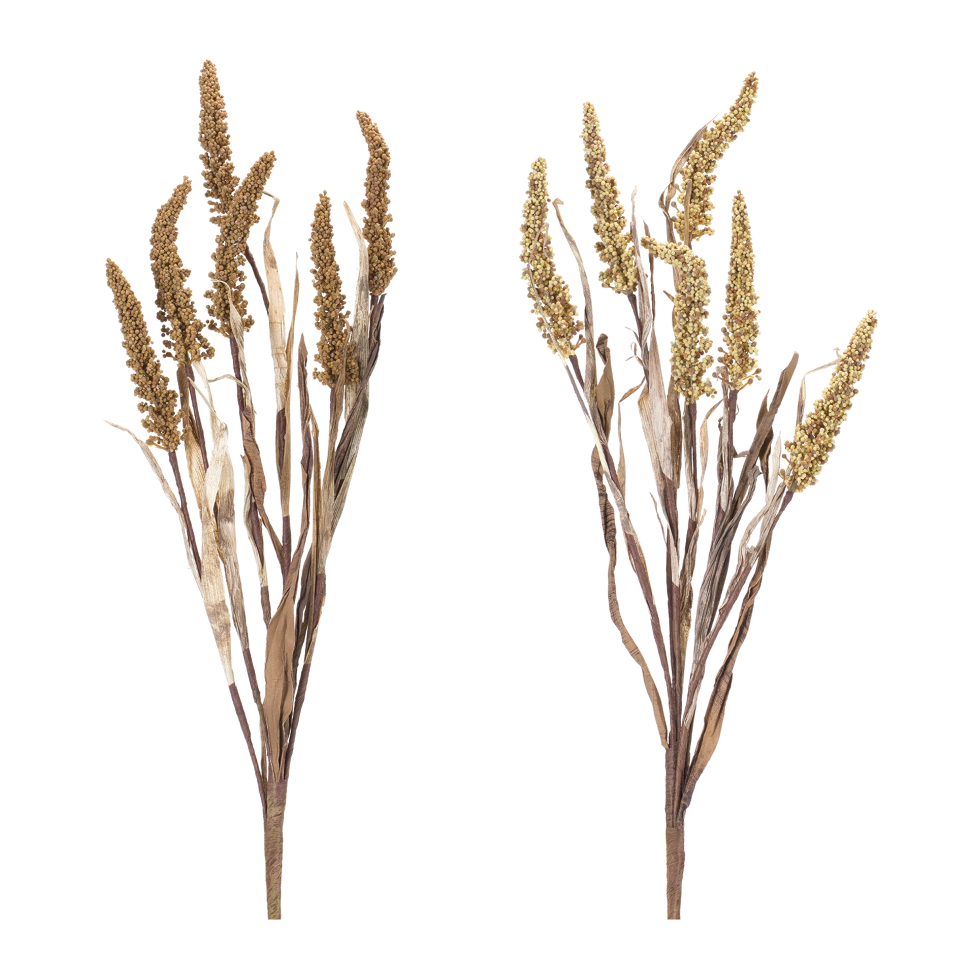Amaranthus Bush (Set of 2) 25