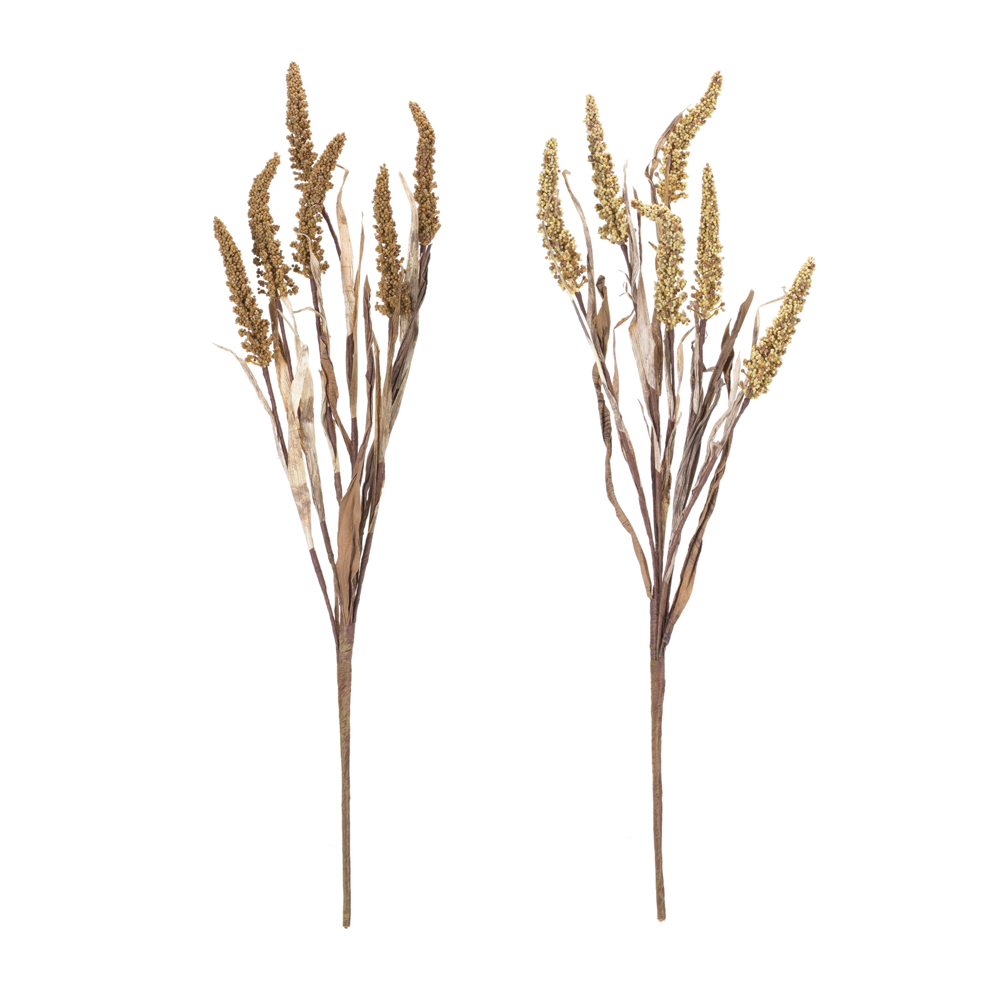 Amaranthus Bush (Set of 2) 25
