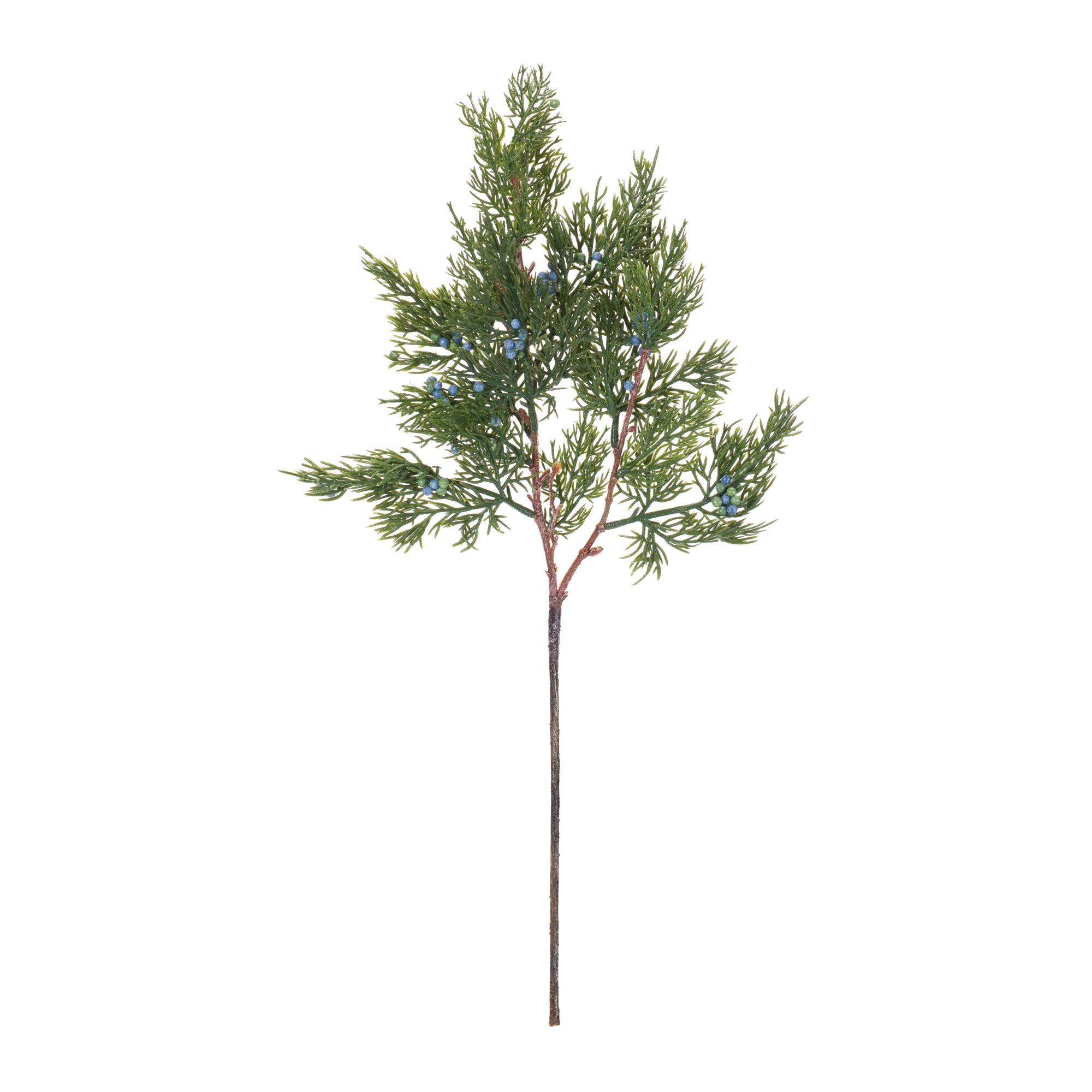 Pine Spray (Set of 12) 20