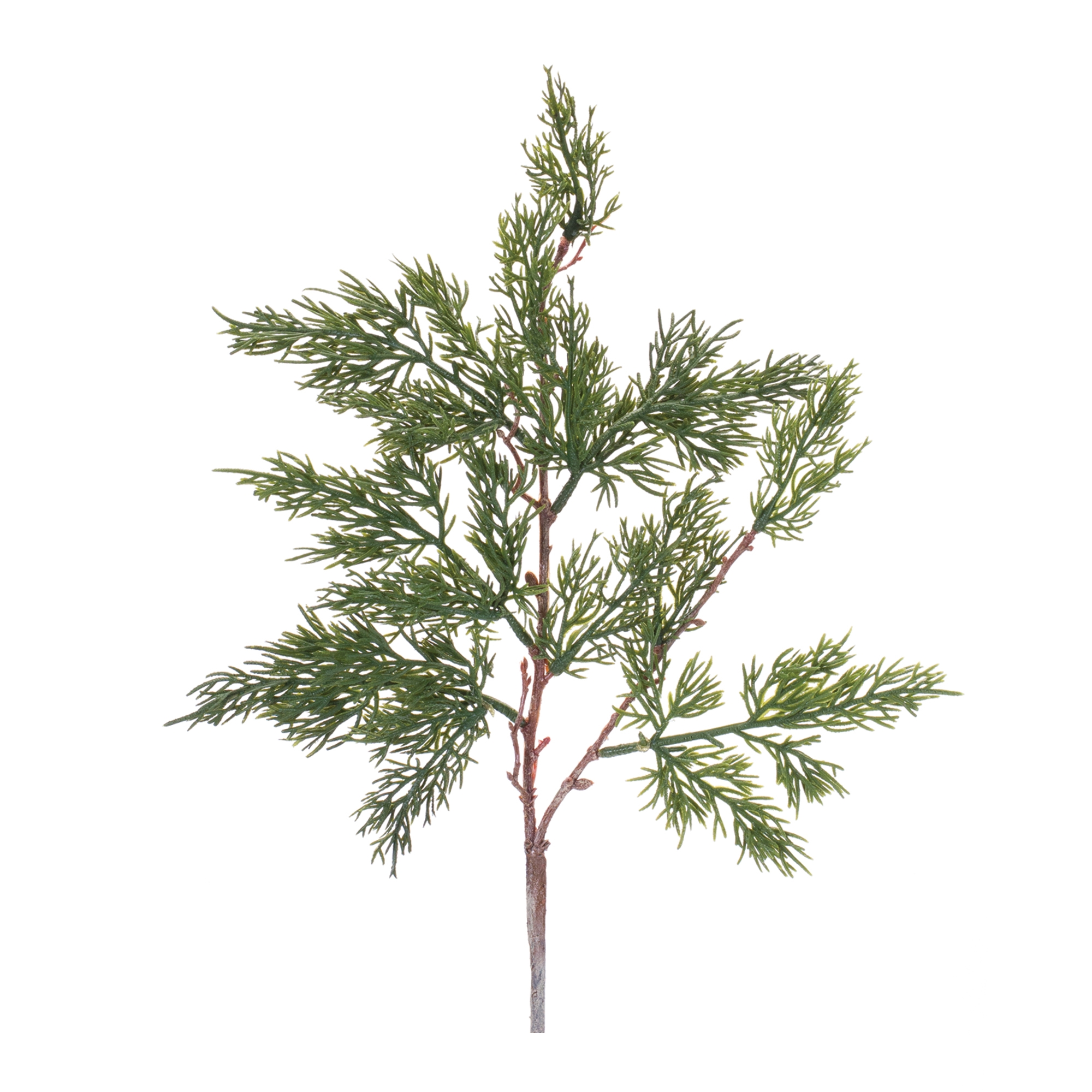 Pine Spray (Set of 12) 19