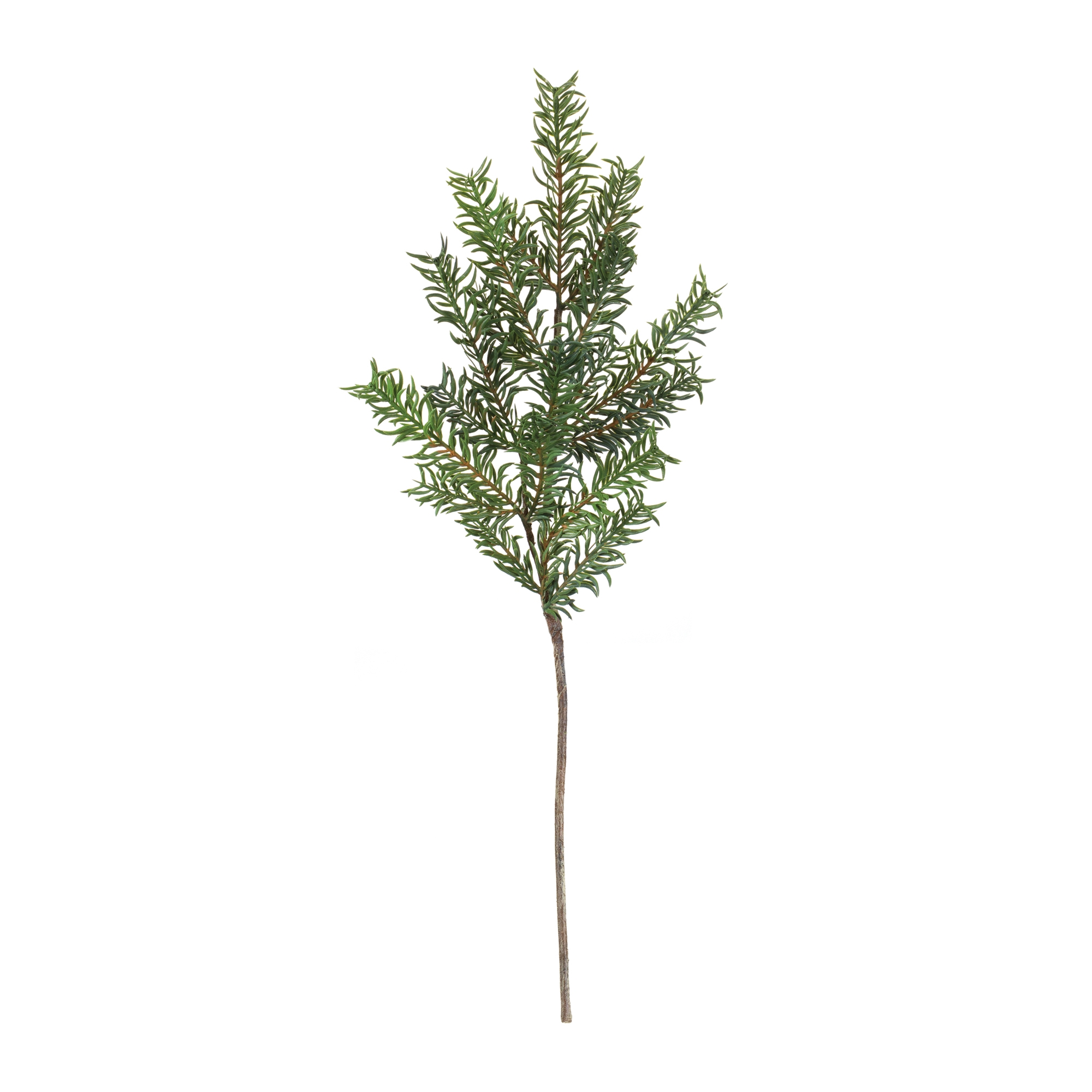 Pine Spray (Set of 12) 29.5