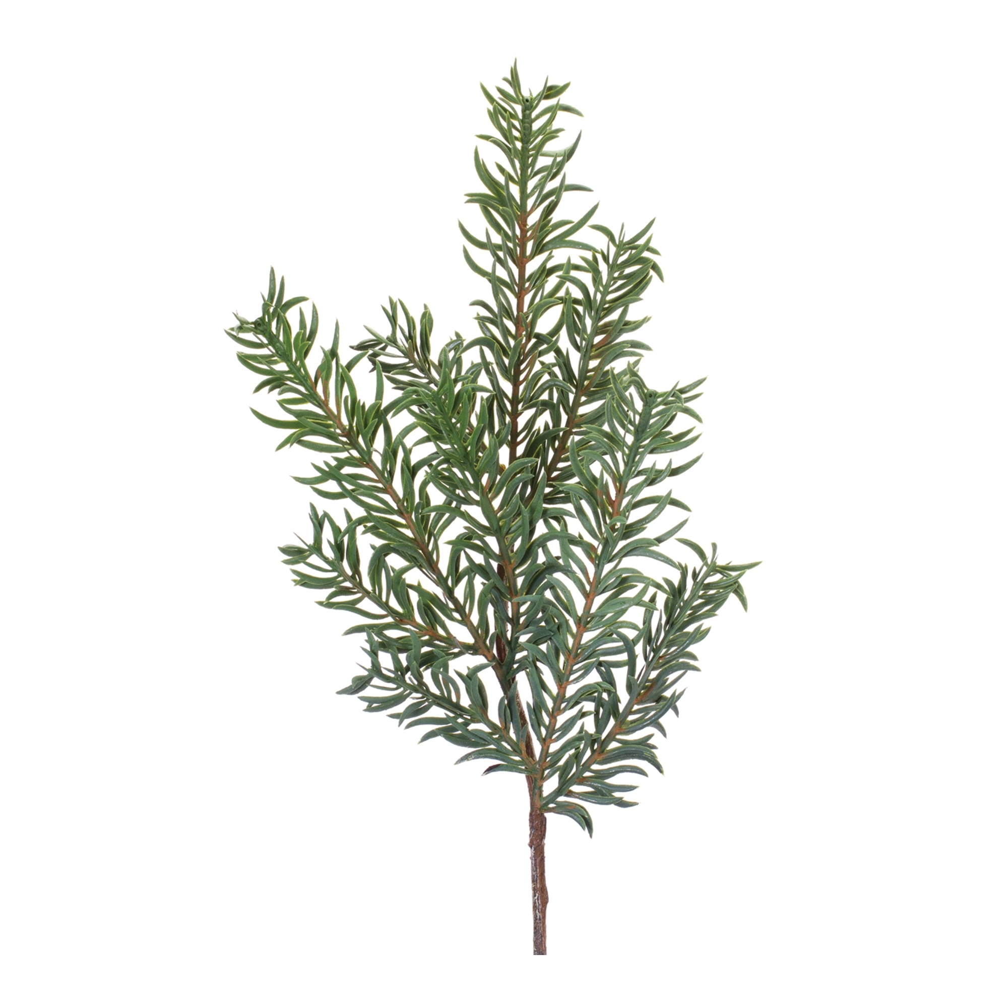 Pine Spray (Set of 24) 21