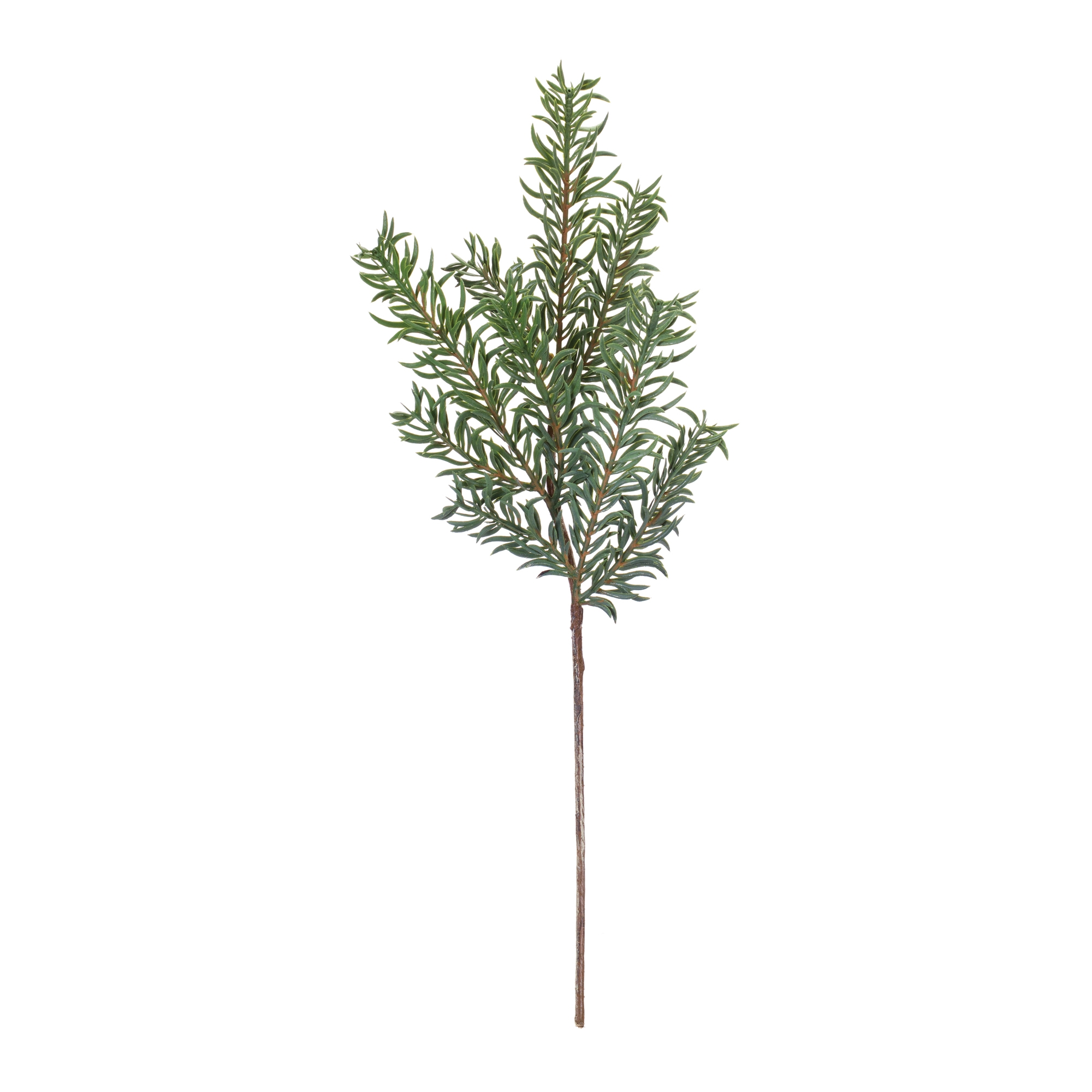 Pine Spray (Set of 24) 21