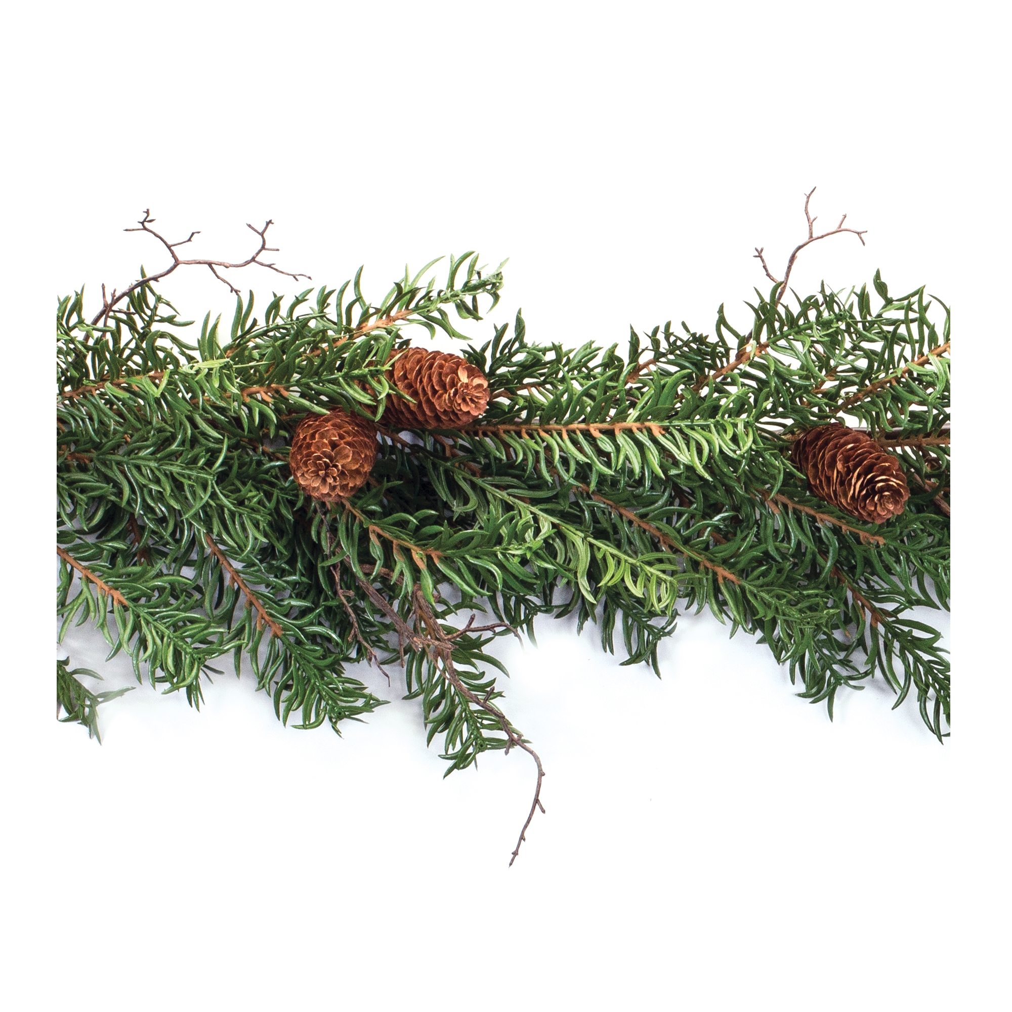 Pine Garland 5.5'L Plastic