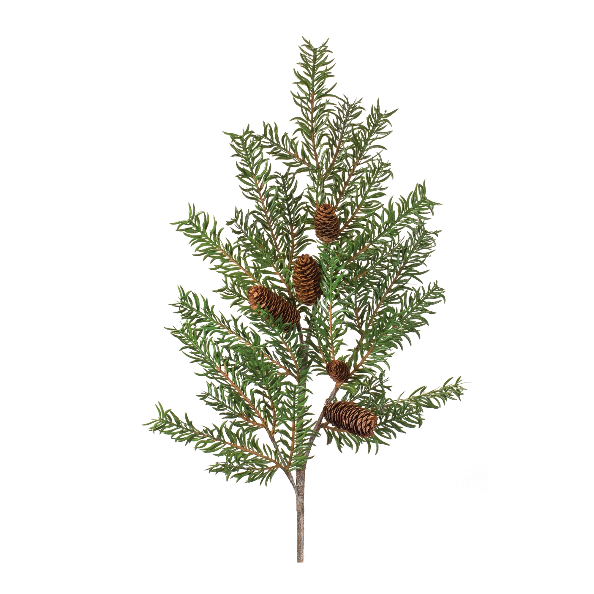 Pine Spray (Set of 2) 39