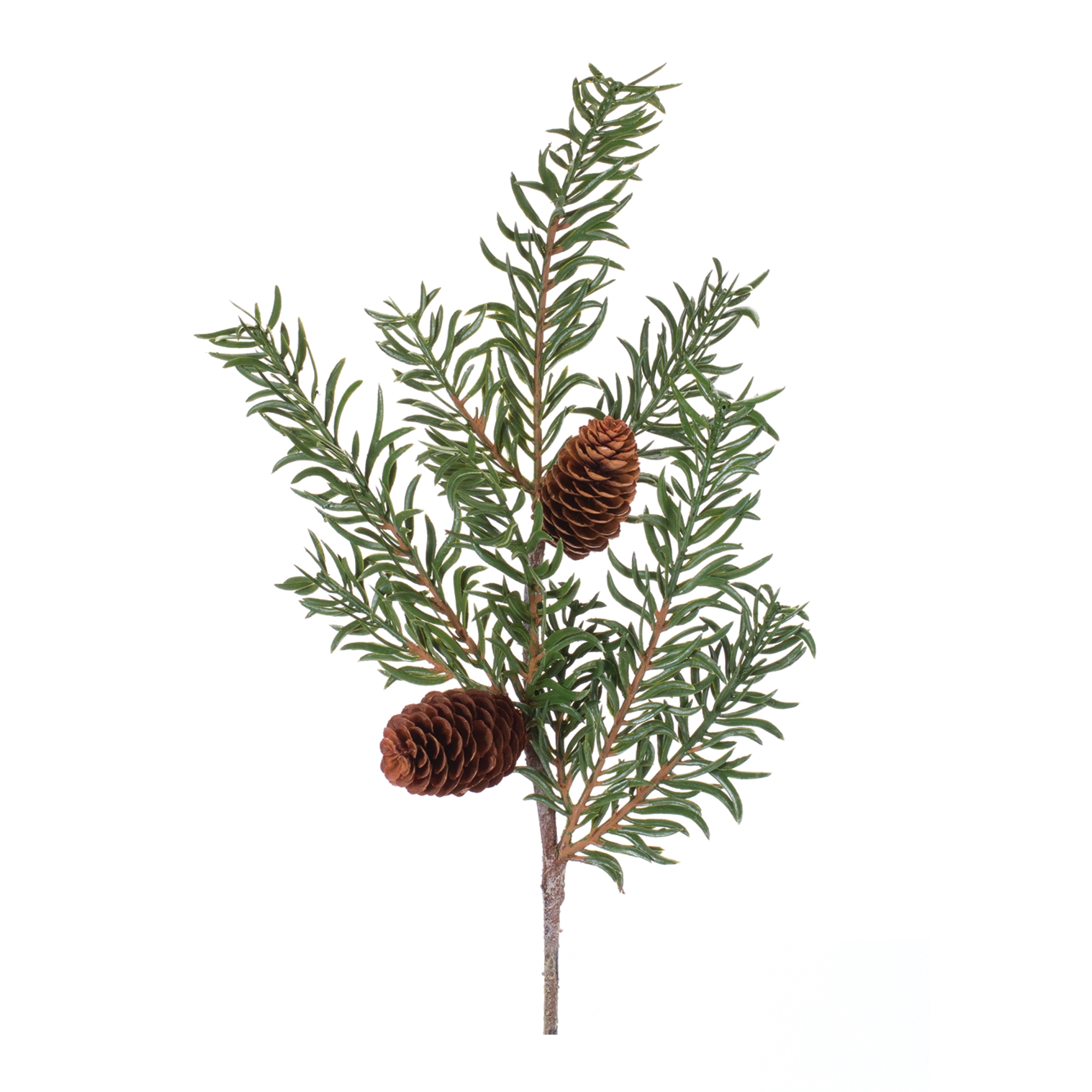 Pine Spray (Set of 6) 21