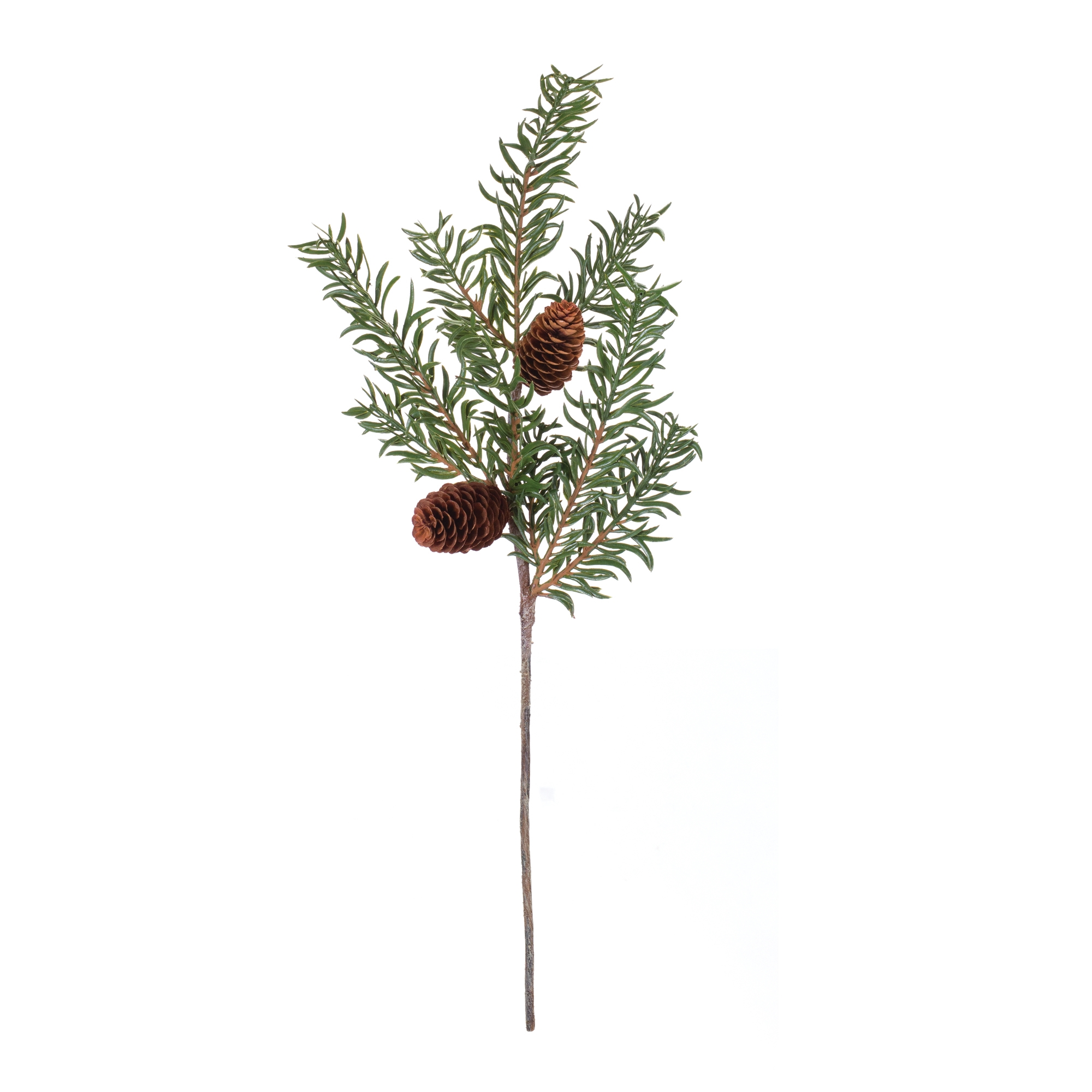 Pine Spray (Set of 6) 21