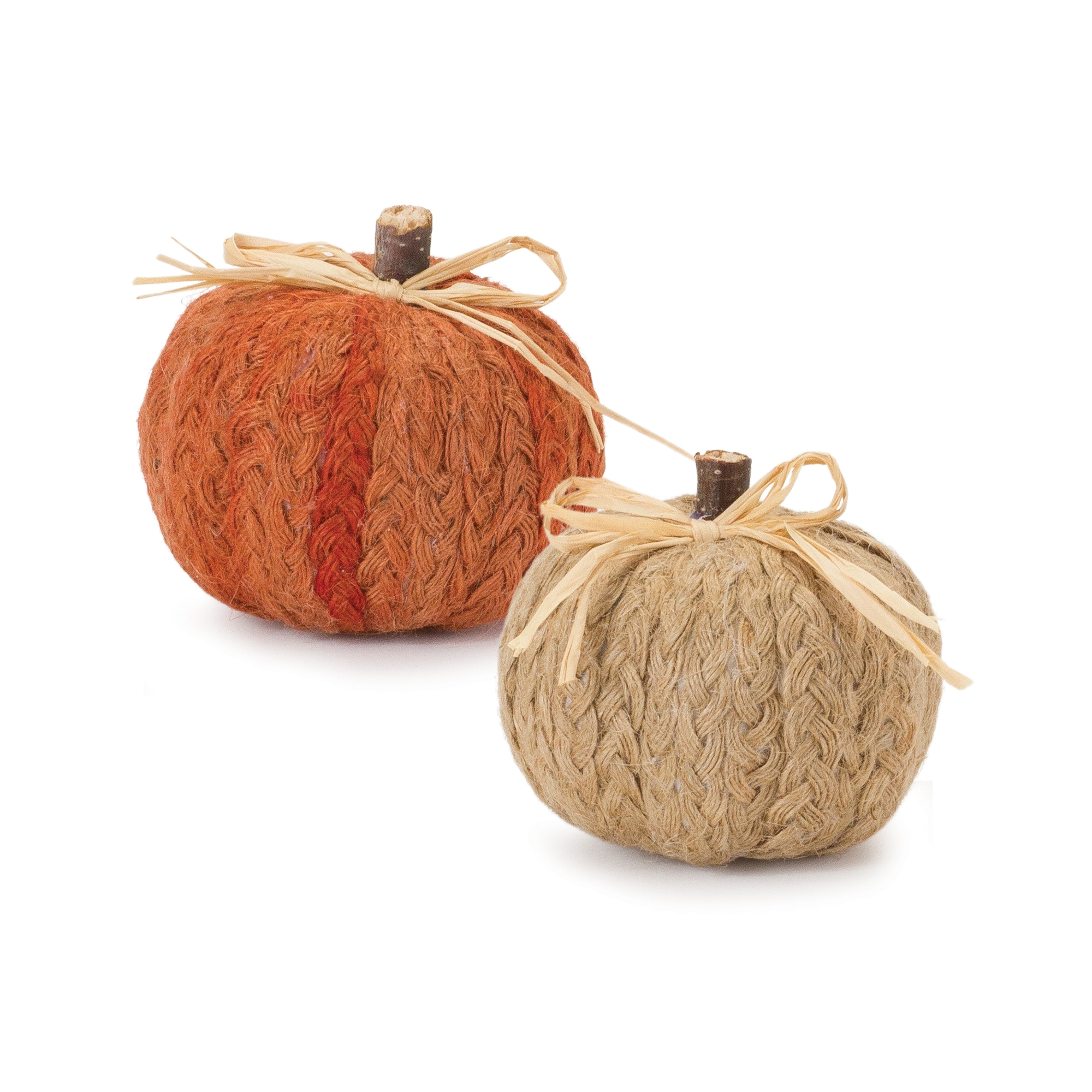 Pumpkin (Set of 2) 3