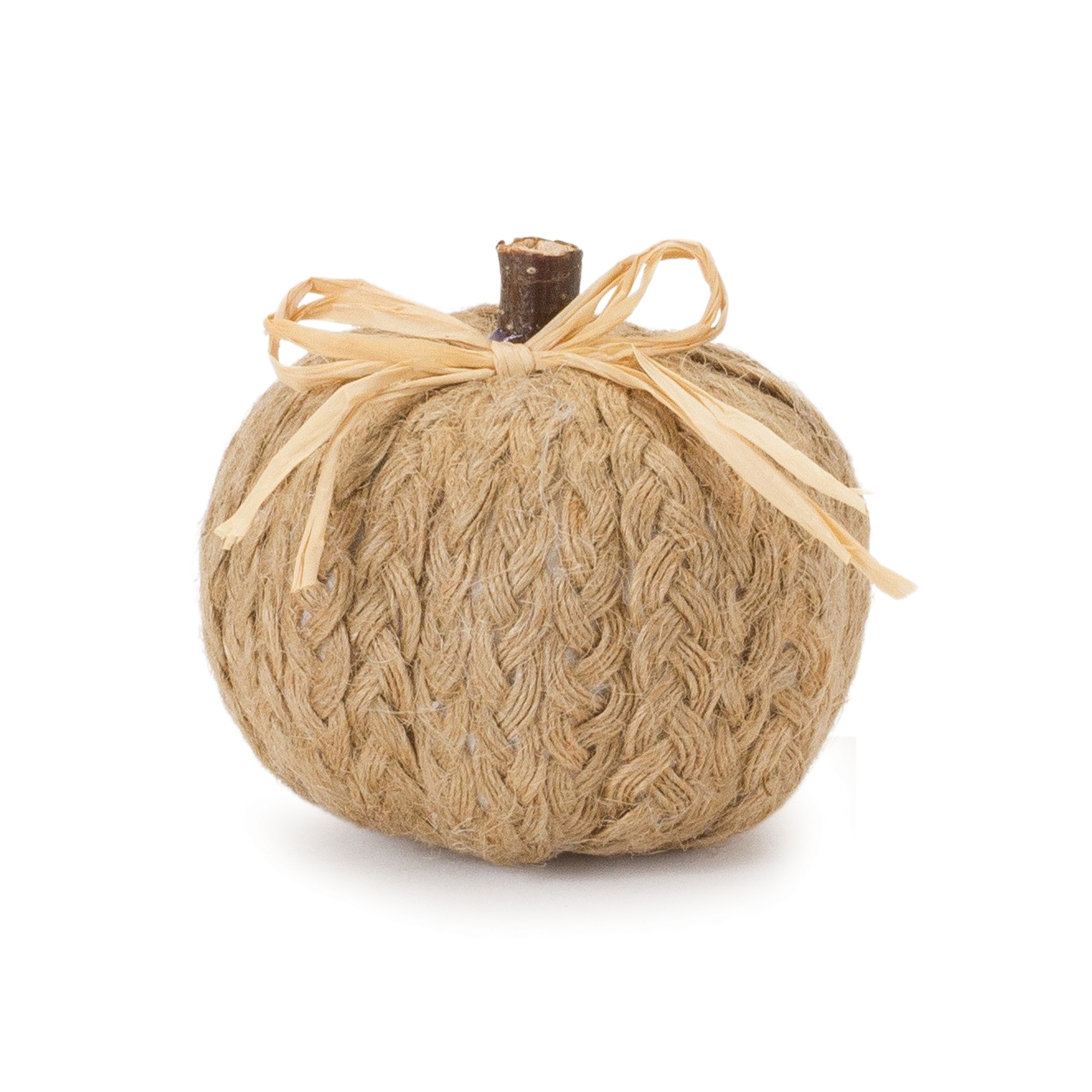 Pumpkin (Set of 2) 3