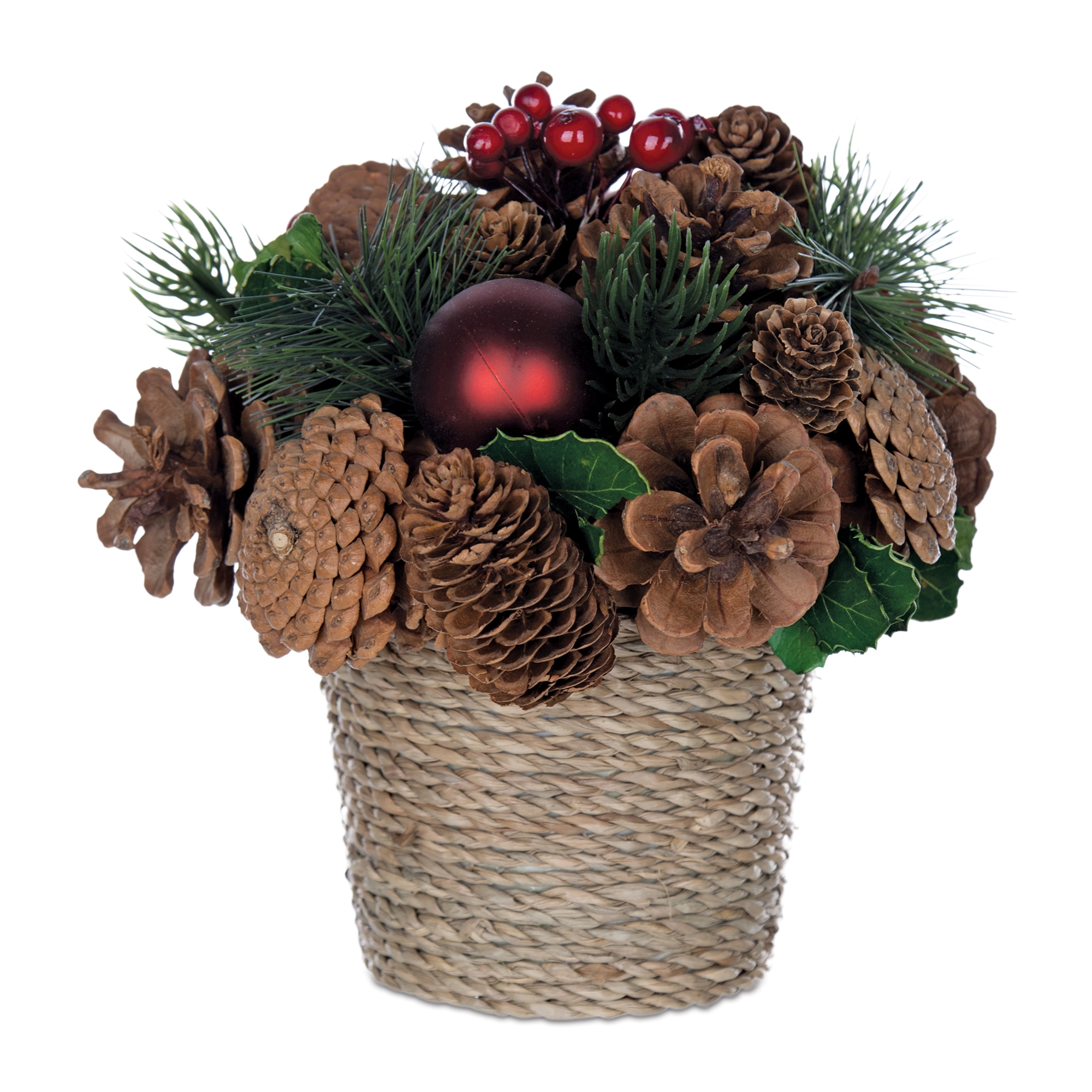 Potted Pine Cone Design (Set of 2) 7.5