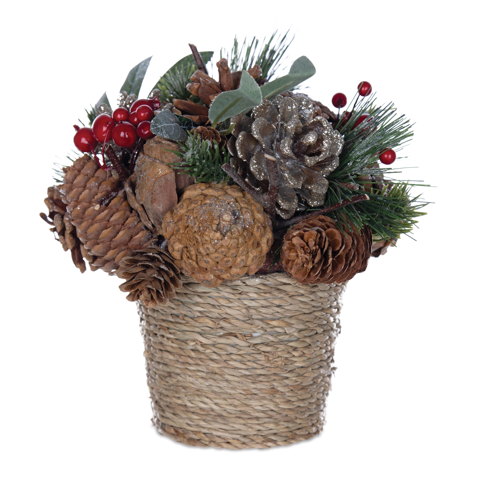 Potted Pine Cone Design (Set of 2) 8.25