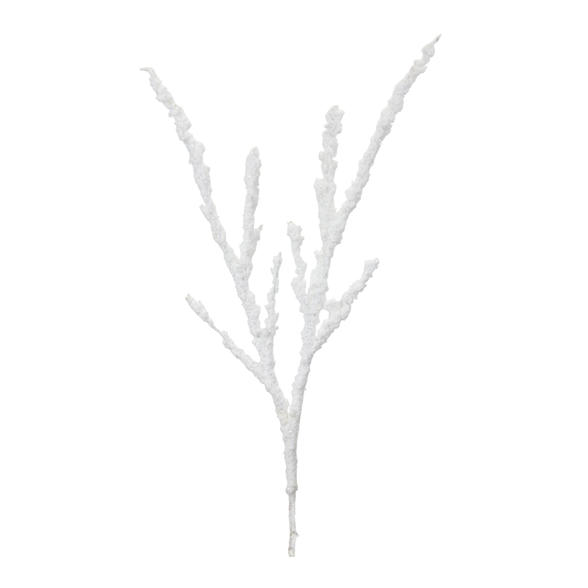 Branch (Set of 12) 35
