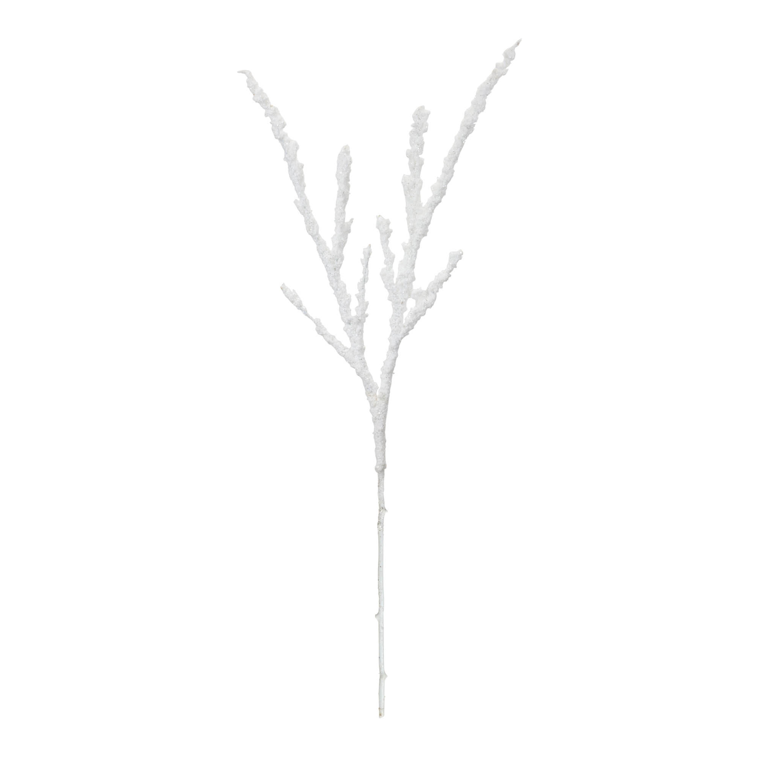Branch (Set of 12) 35