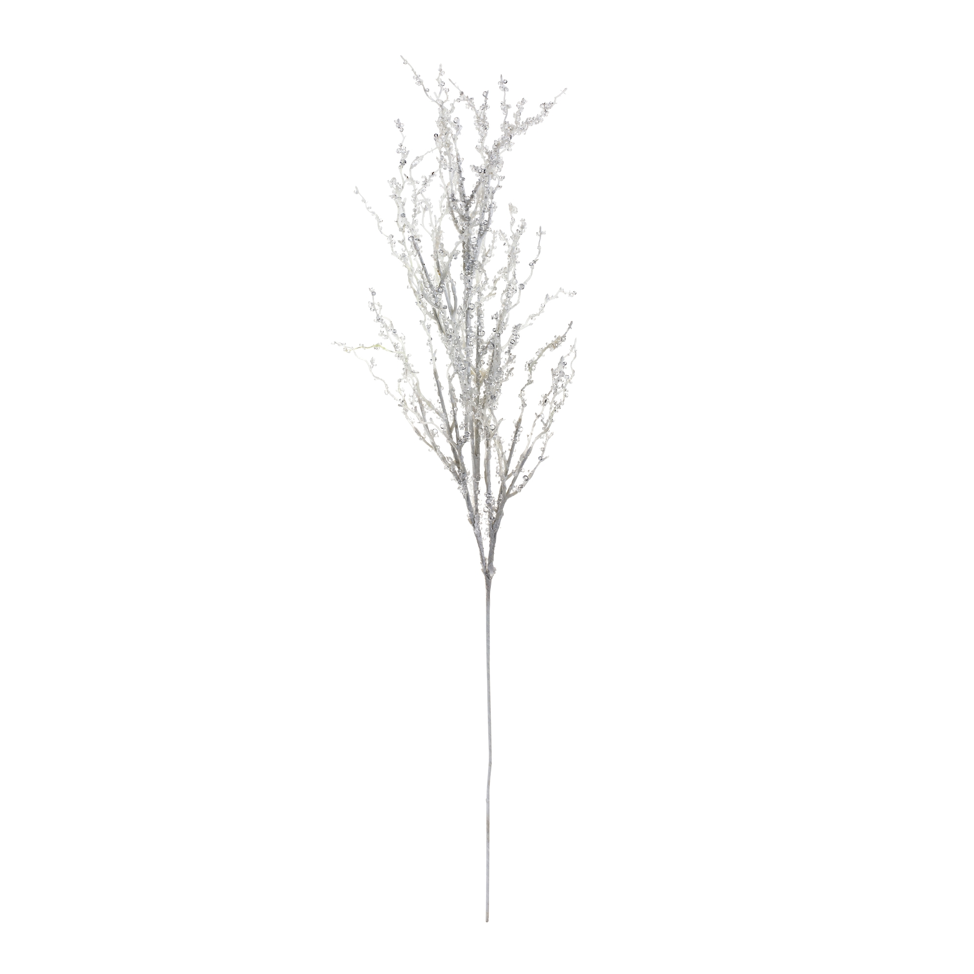 Branch (Set of 2) 32