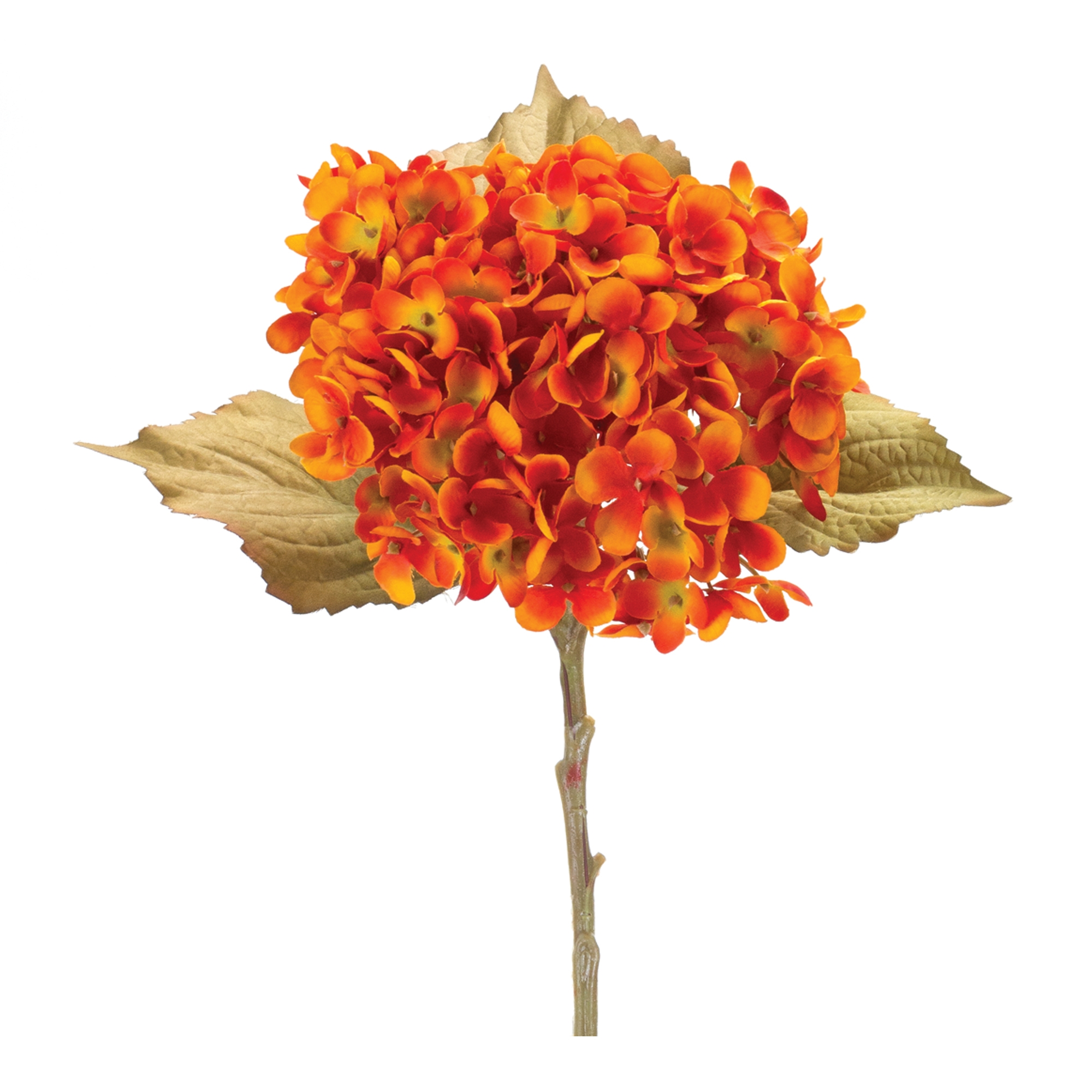 Hydrangea Stem (Set of 6) 20.5