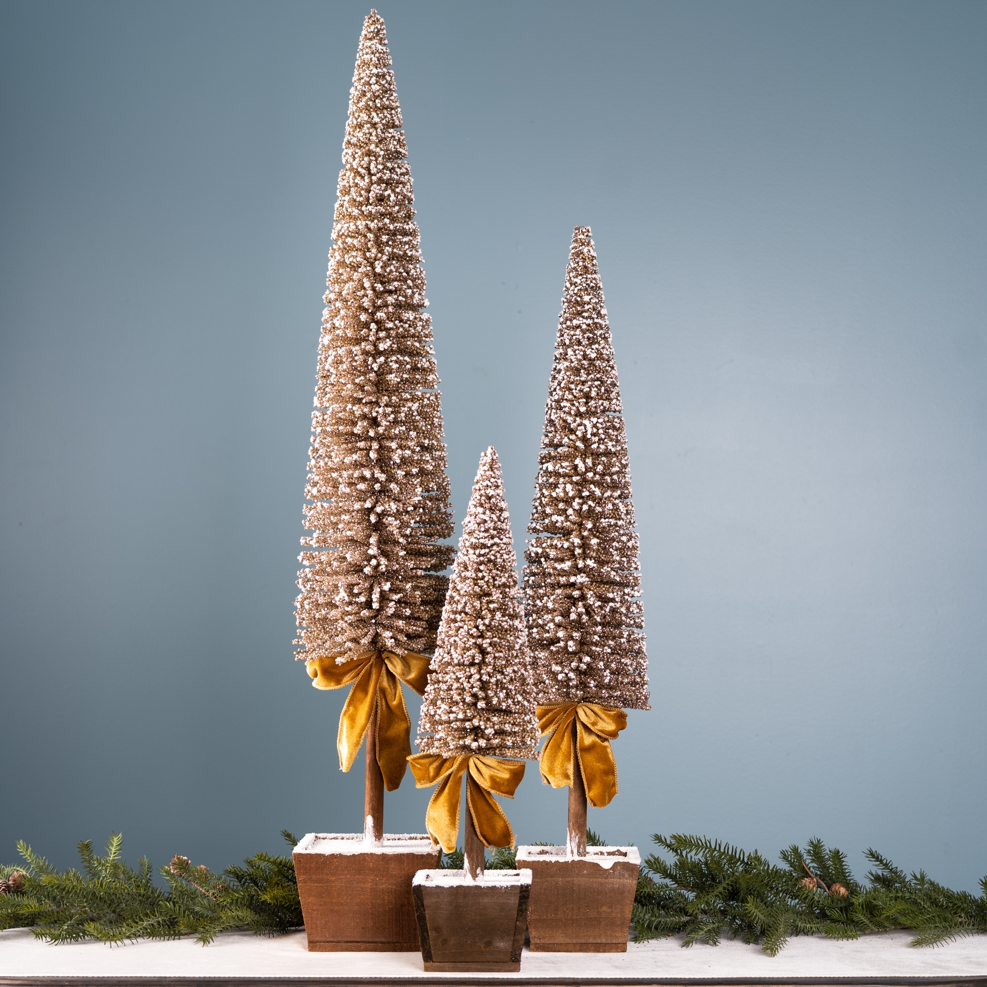 Potted Tree (Set of 3) 20.5