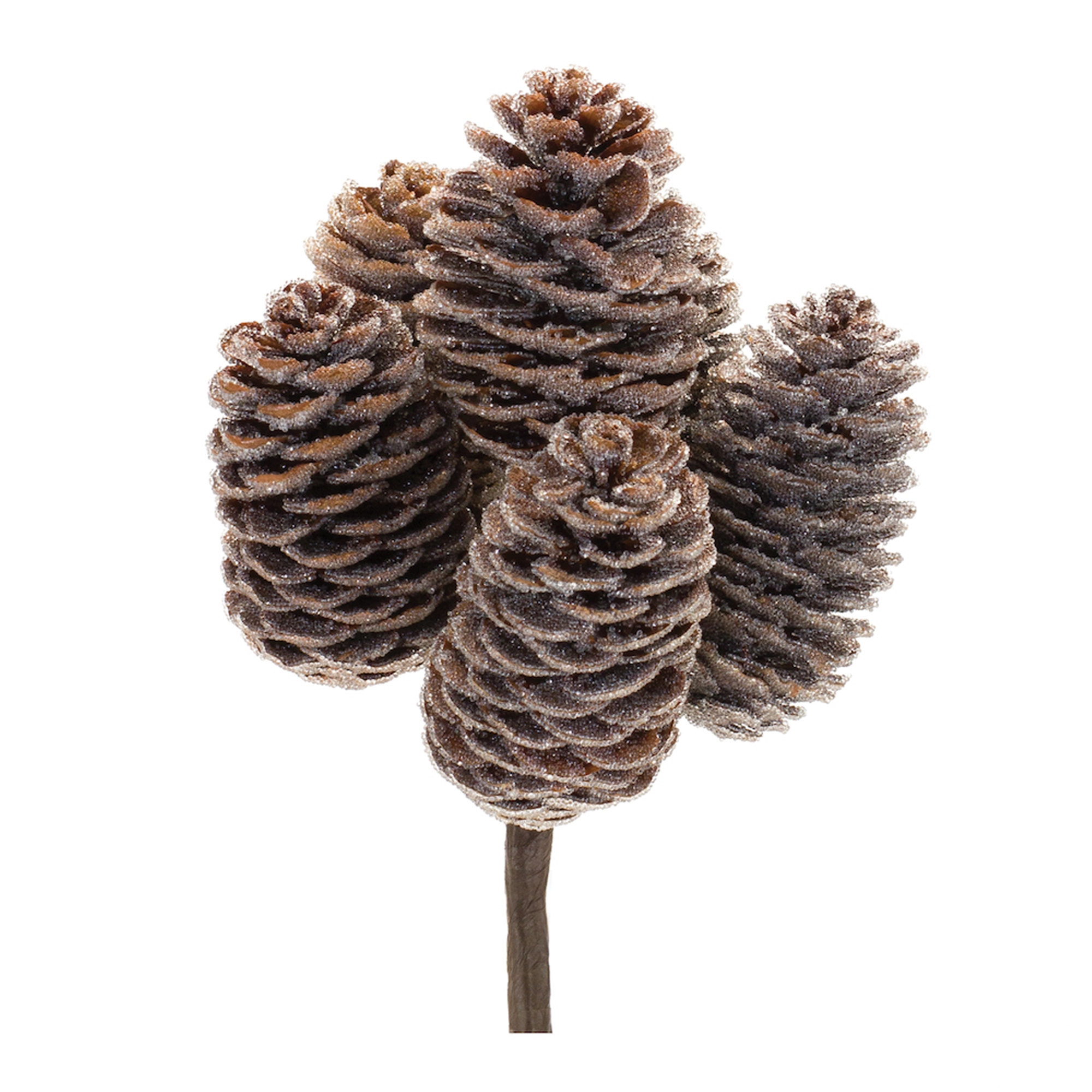 Pine Cone Bundle (Set of 12) 9