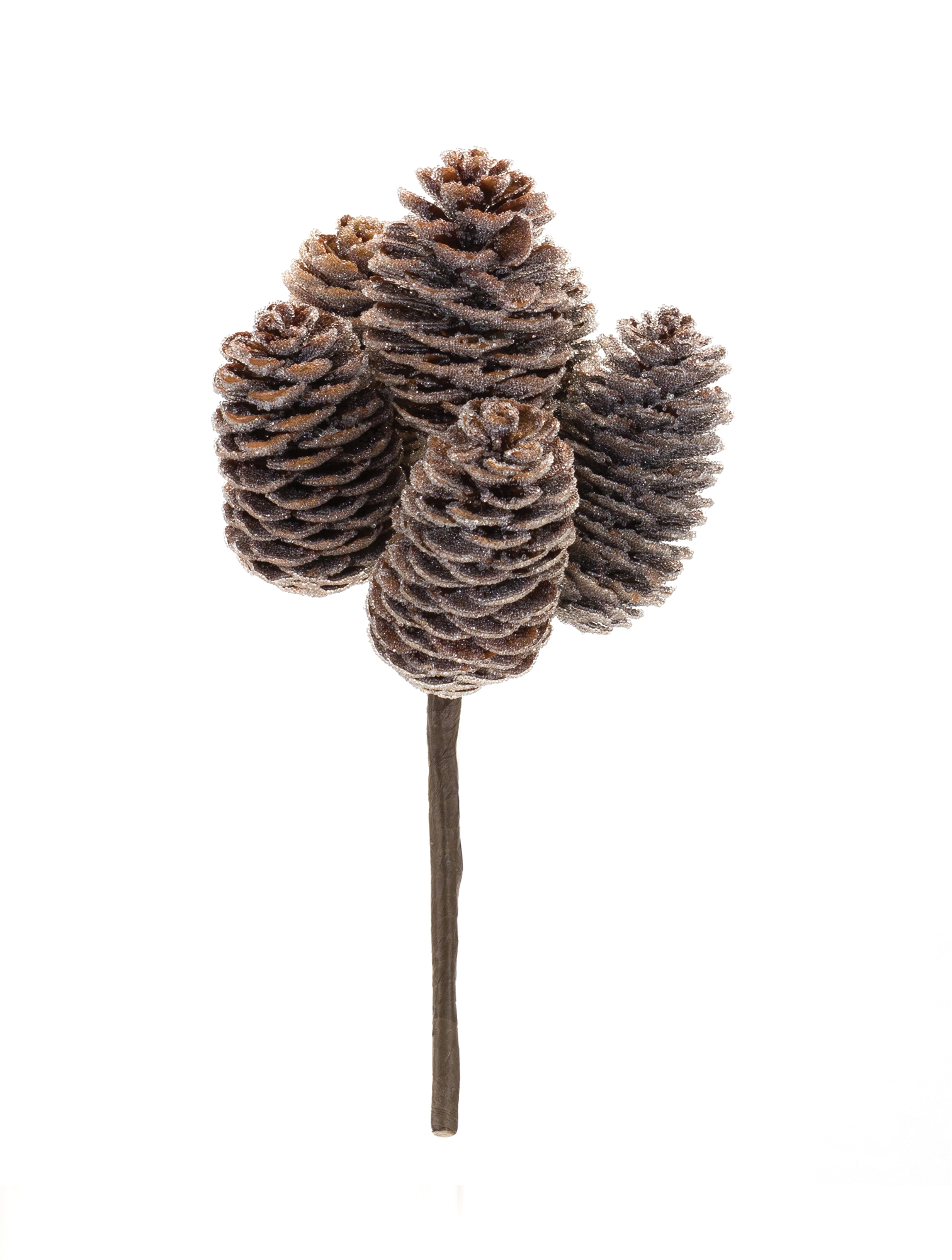 Pine Cone Bundle (Set of 12) 9