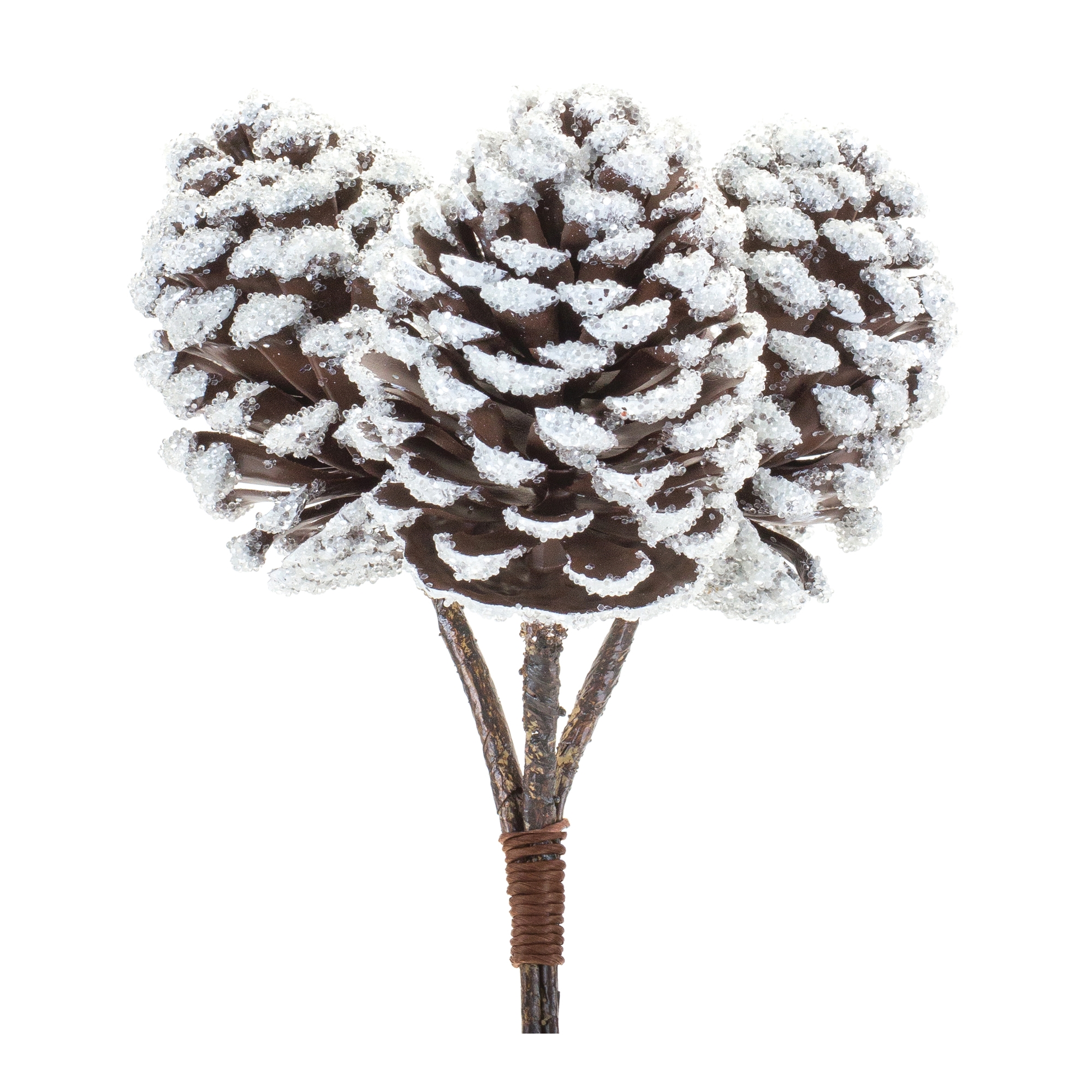 Pine Cone Bundle (Set of 6) 11