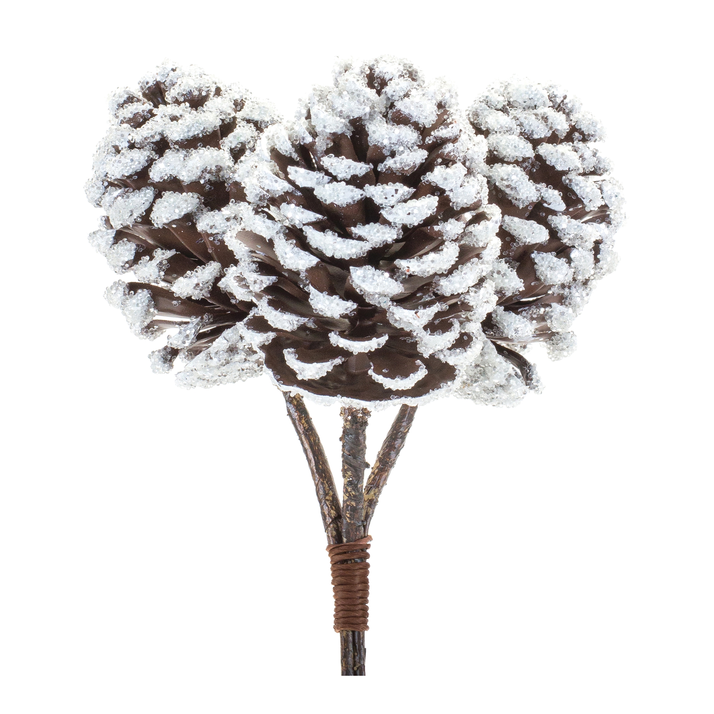 Pine Cone Bundle (Set of 6) 11