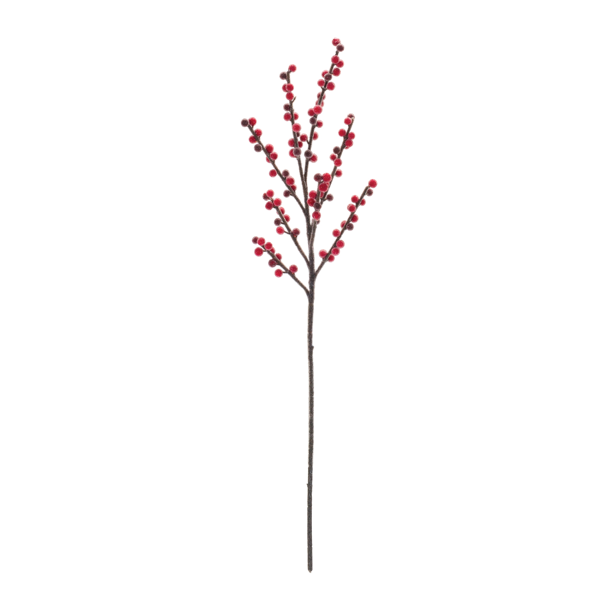 Berry Spray (Set of 6) 24