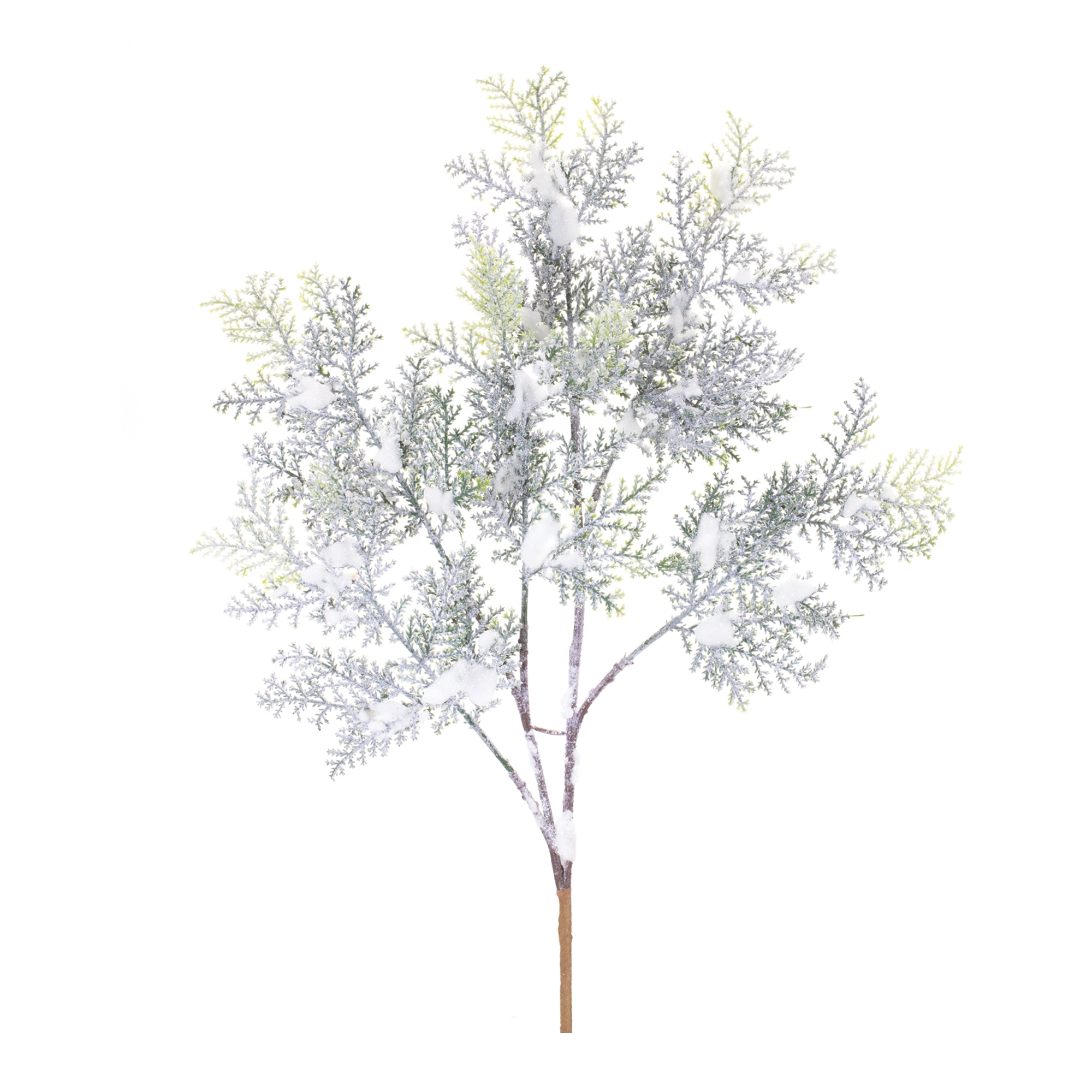 Snowy Cedar Branch (Set of 12) 21