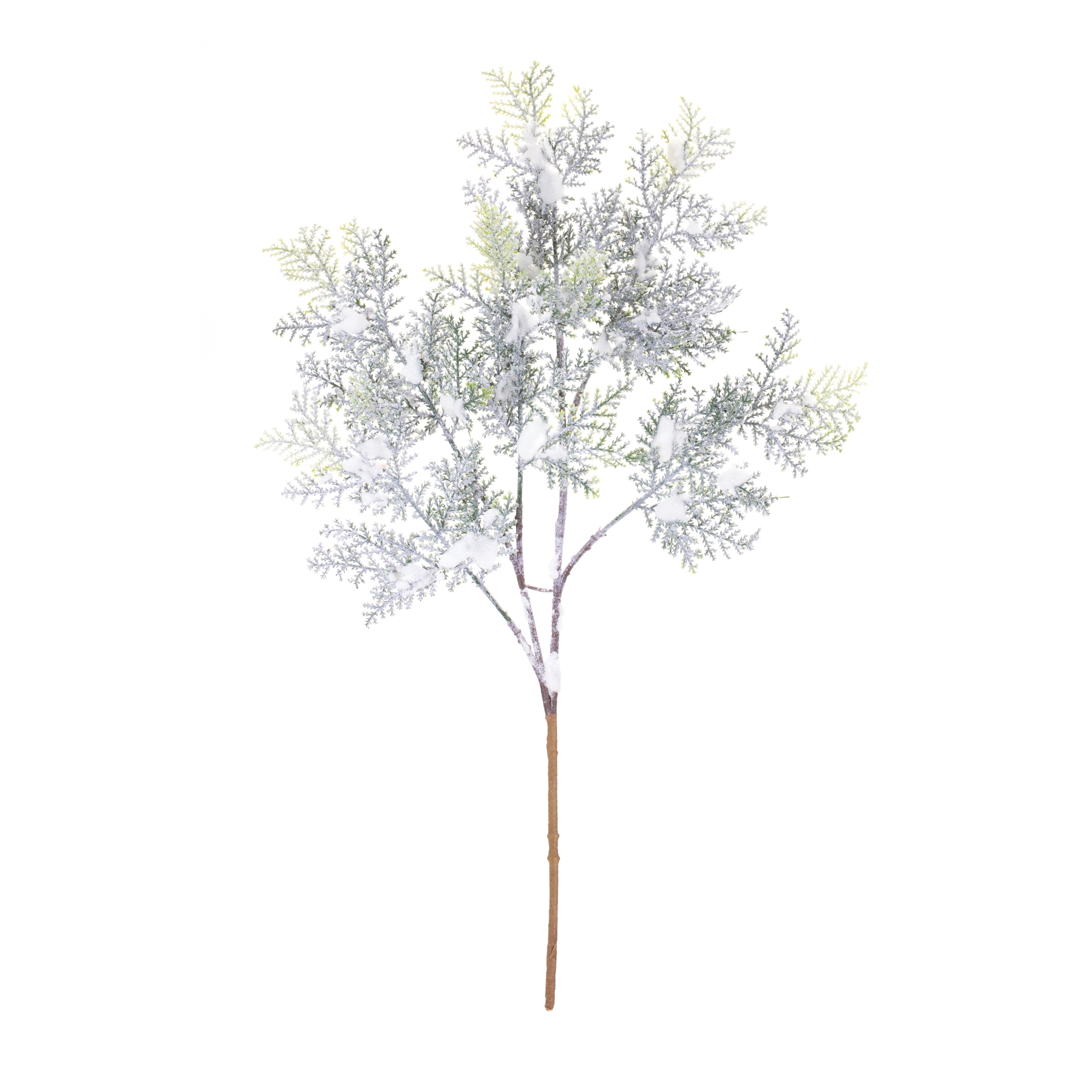 Snowy Cedar Branch (Set of 12) 21
