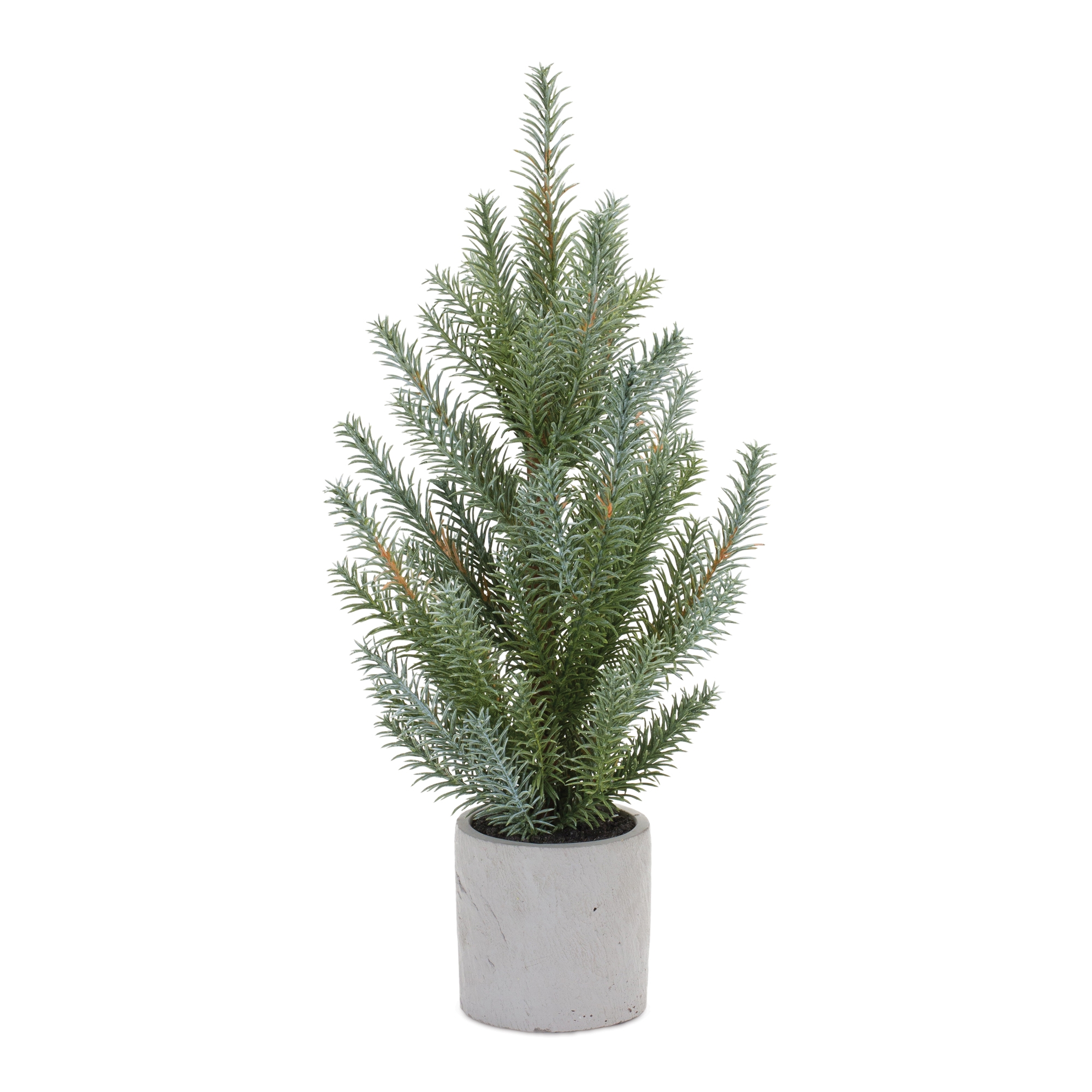 Potted Pine Tree (Set of 2) 18