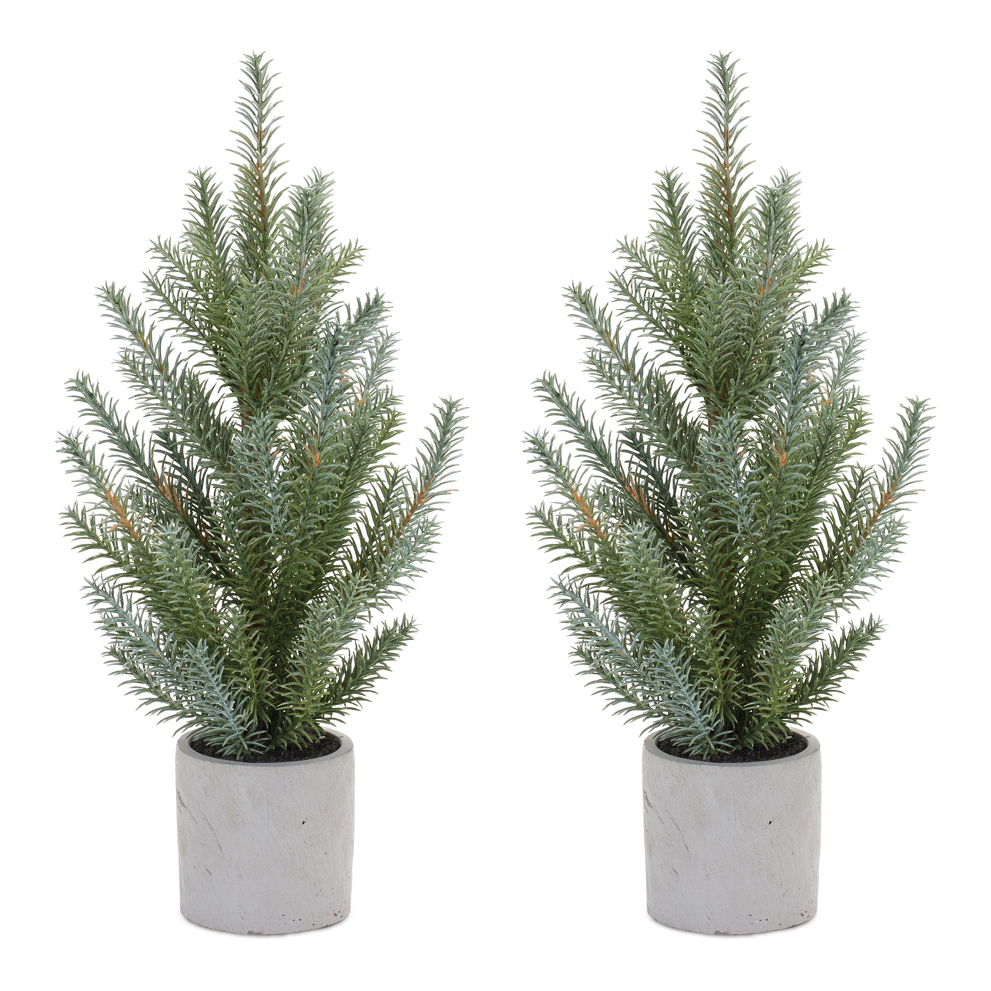 Potted Pine Tree (Set of 2) 18