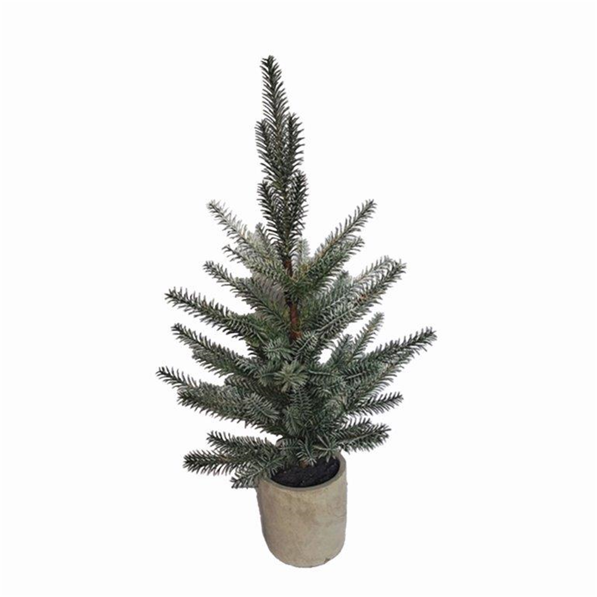 Potted Pine Tree (Set of 2) 24