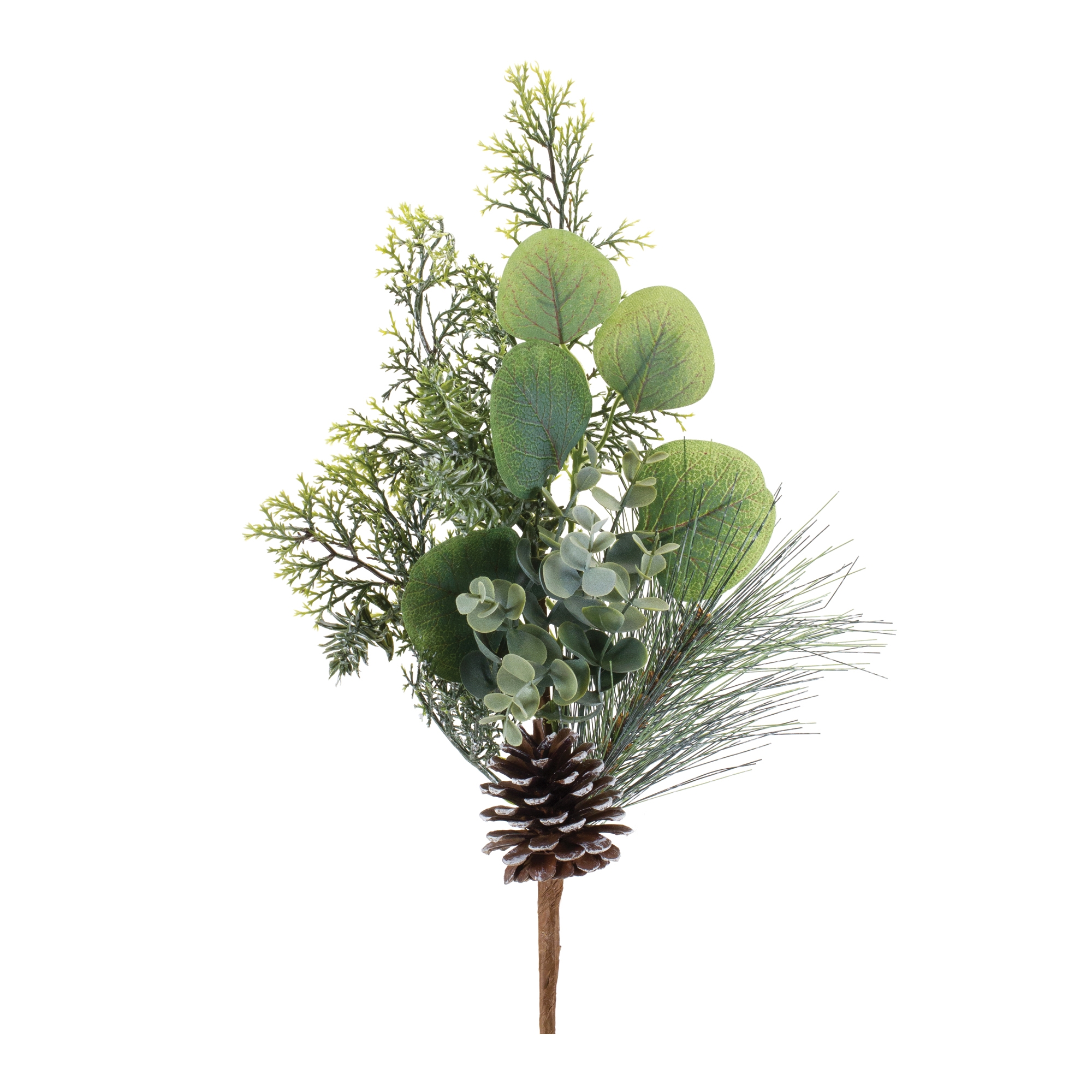 Pine and Eucalyptus Pick (Set of 6) 18