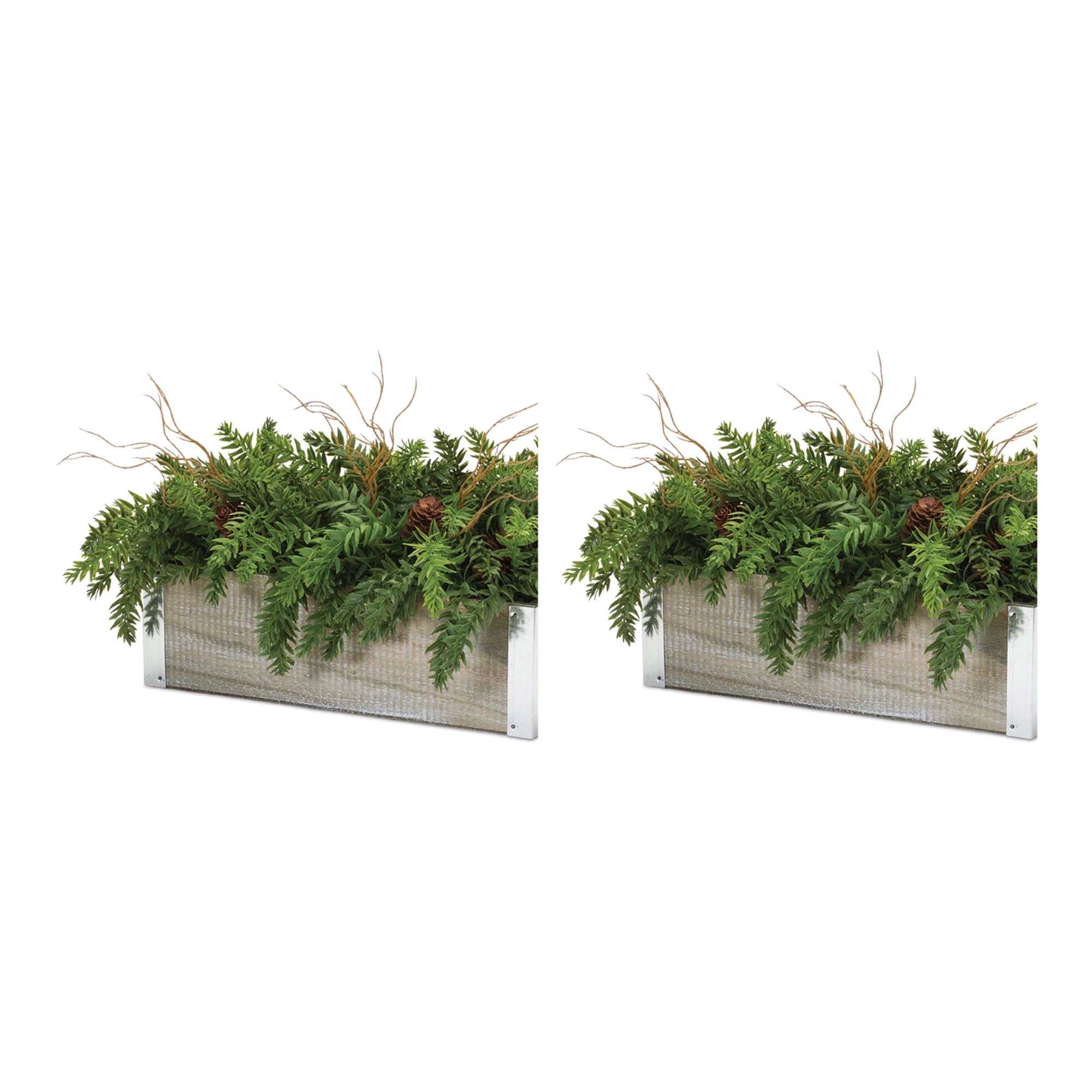 Pine Centerpiece (Set of 2) 20