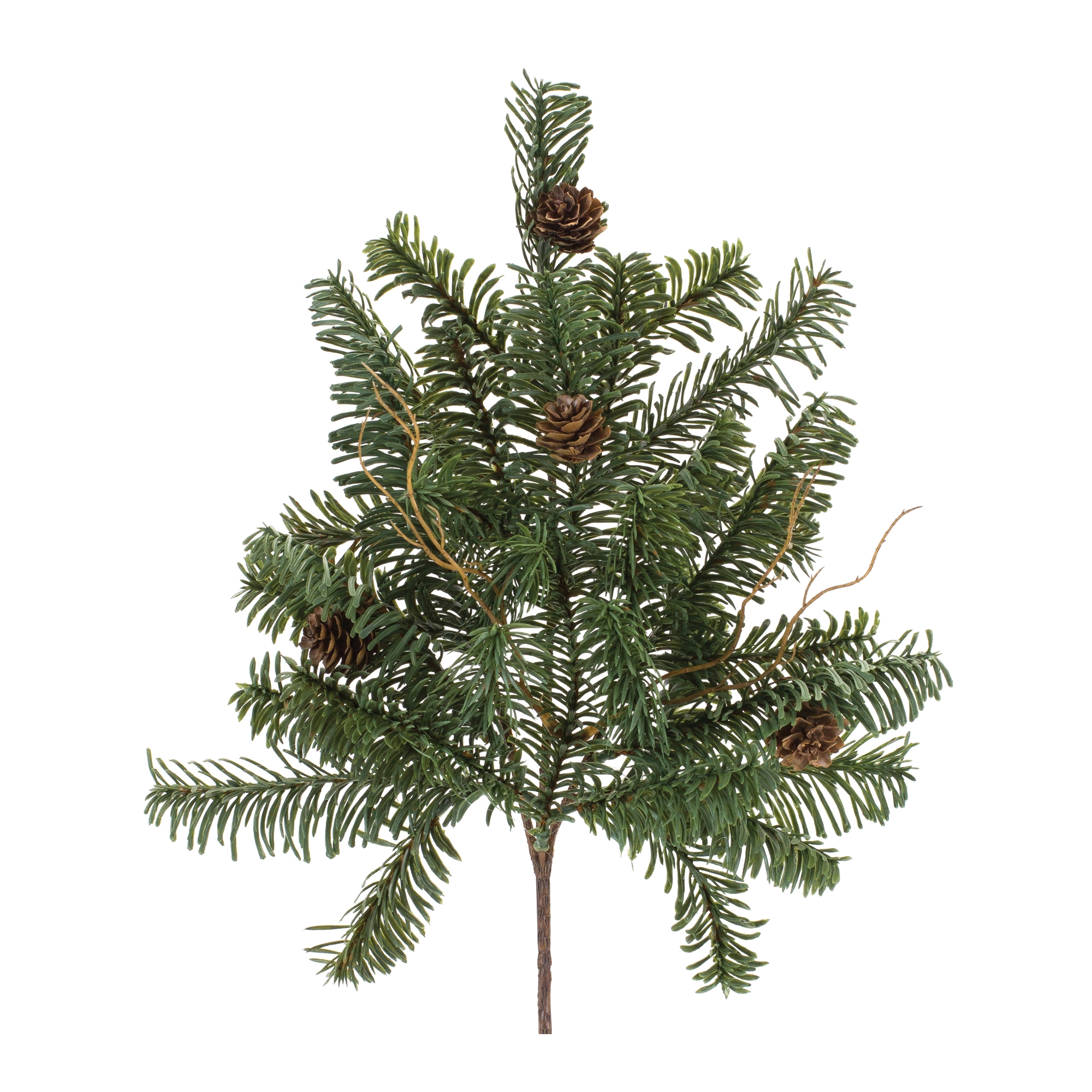 Pine Stem (Set of 6) 17