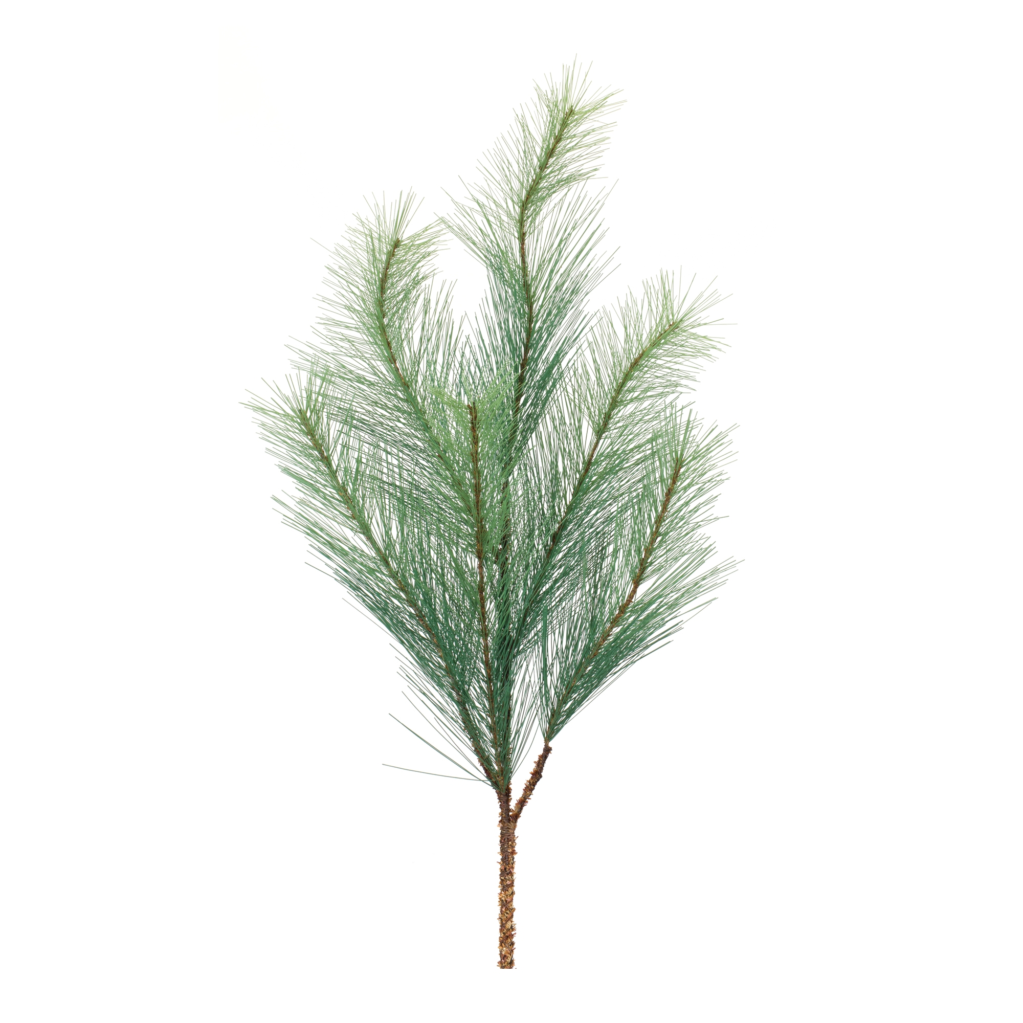 Pine Spray (Set of 6) 32